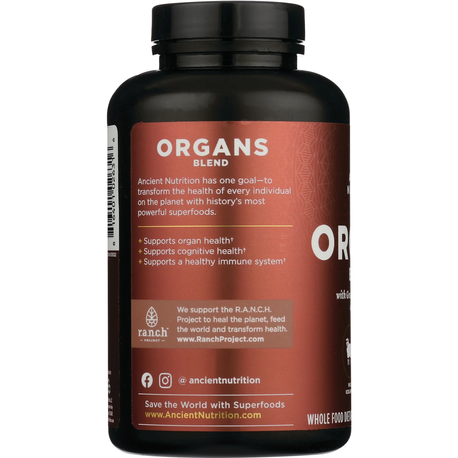 Organs Blend - Image 3