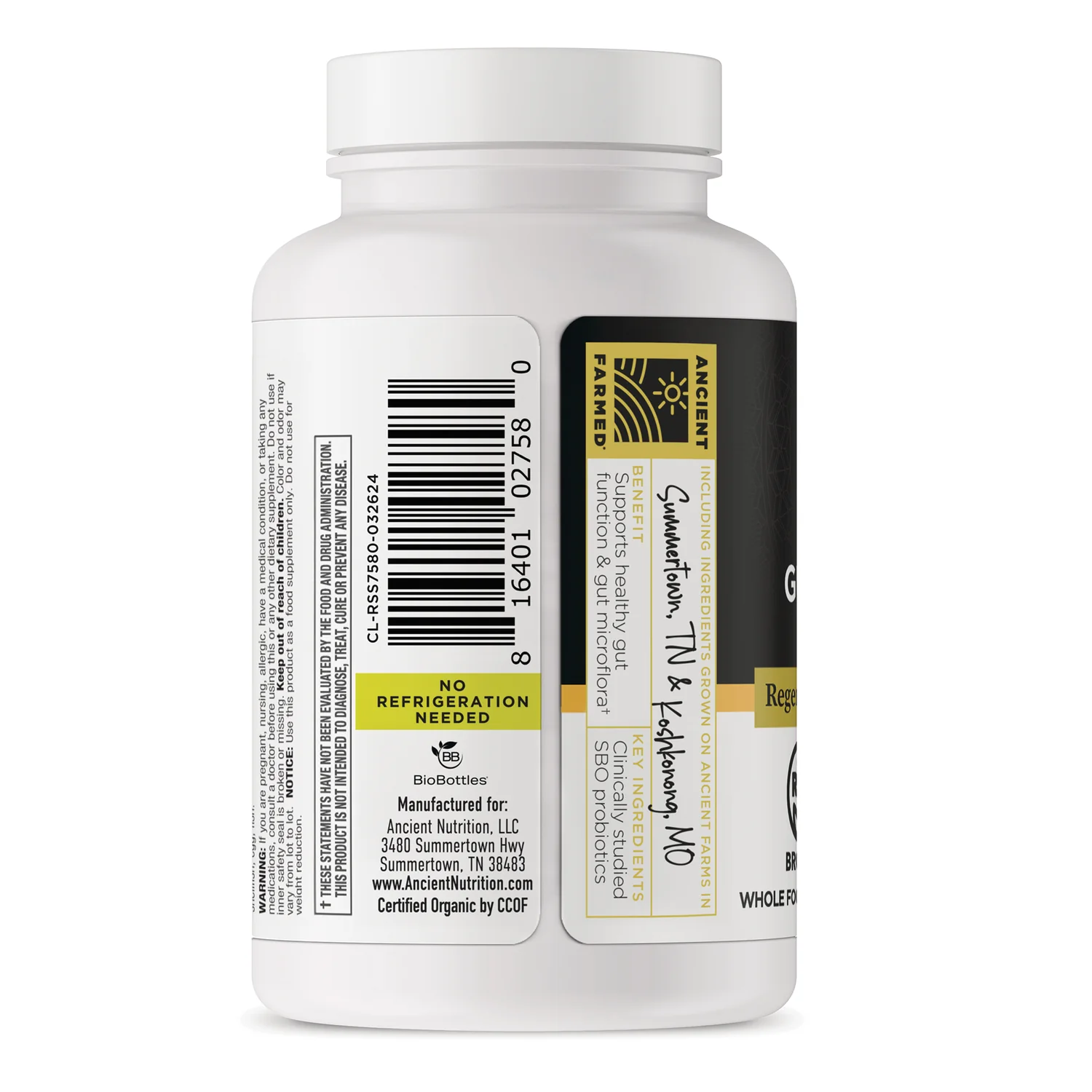Gut Recovery Probiotics - Shelf Stable - Image 3