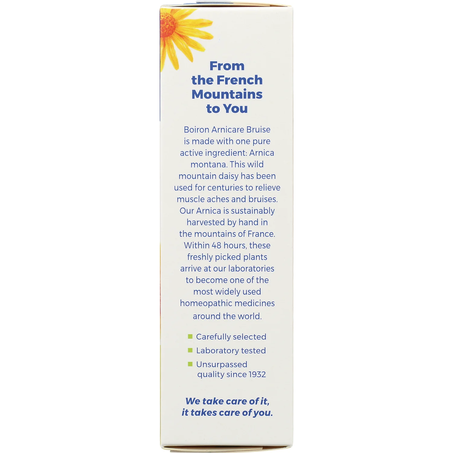 Arnicare Bruise Gel - Image 4