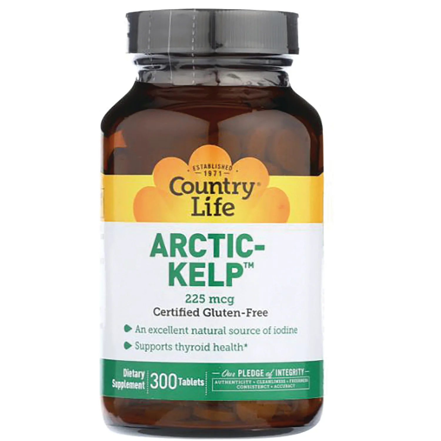 Arctic Kelp