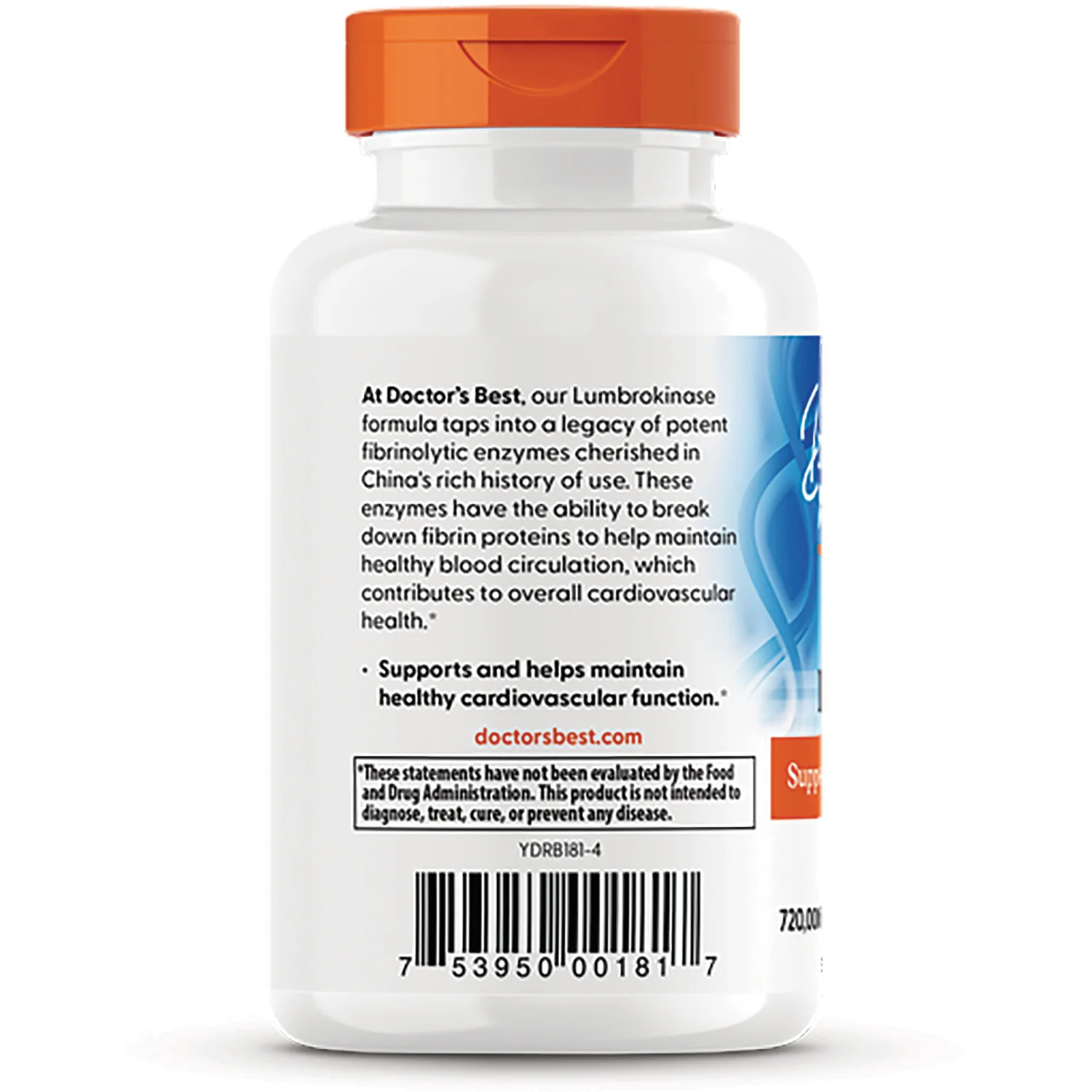 Lumbrokinase - Image 3