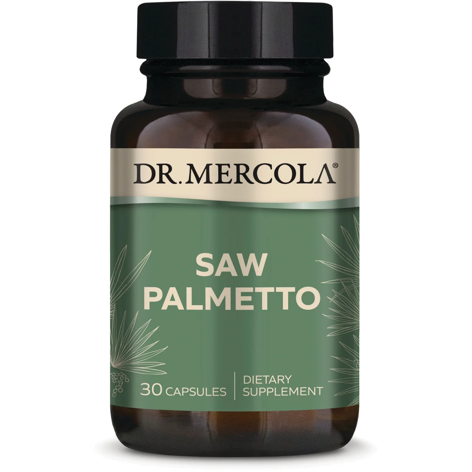 Saw Palmetto