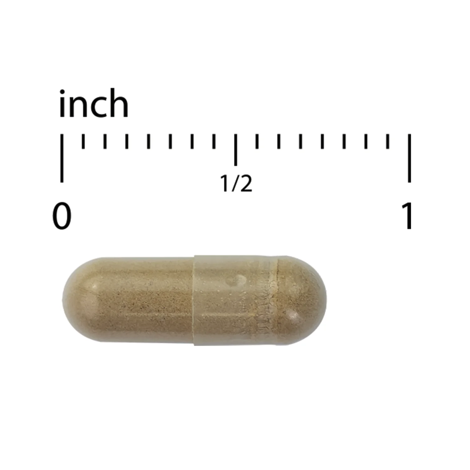 Ashwagandha EP35 Extra Strength - Image 3