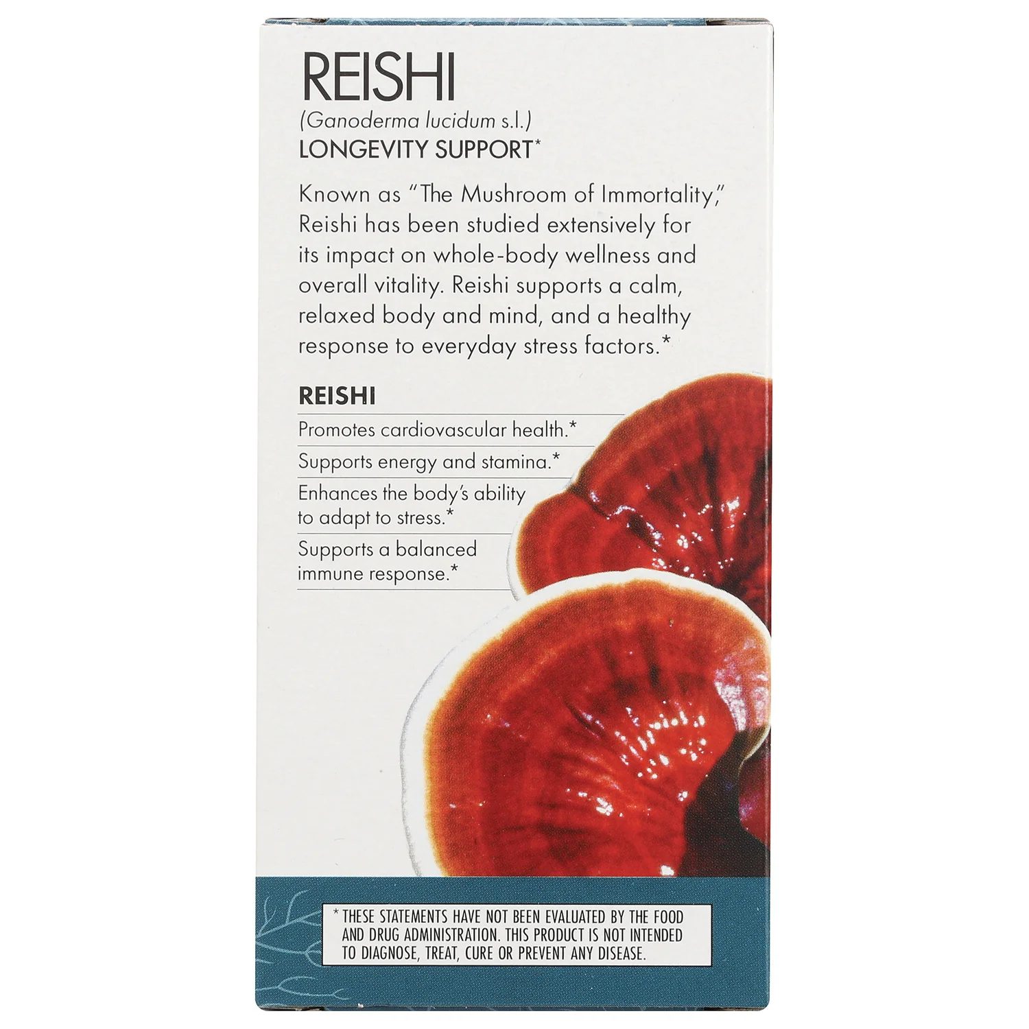 Reishi - Image 3