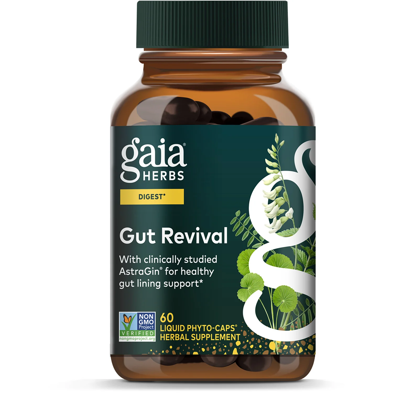 Gut Revival