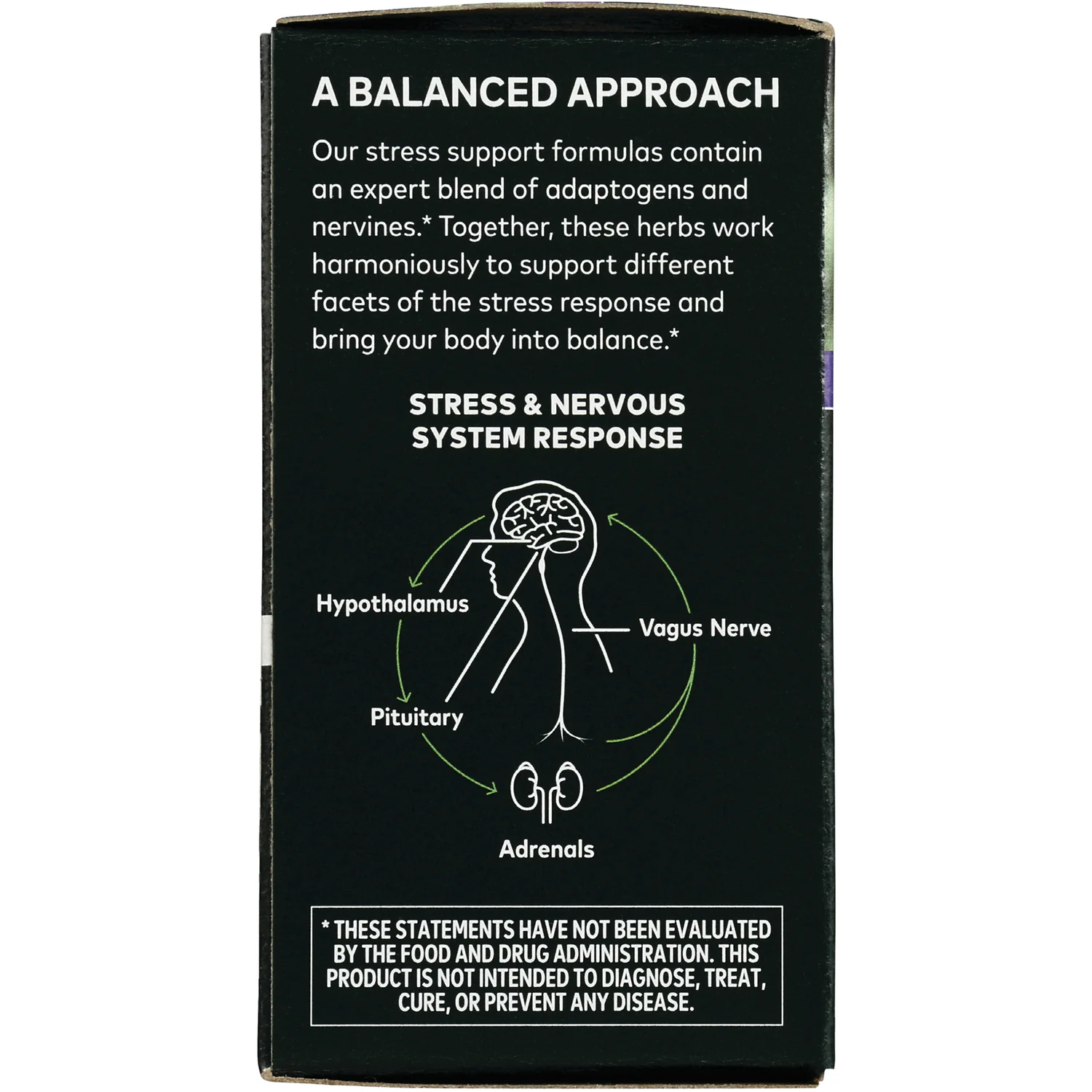 Stress Response - Image 4