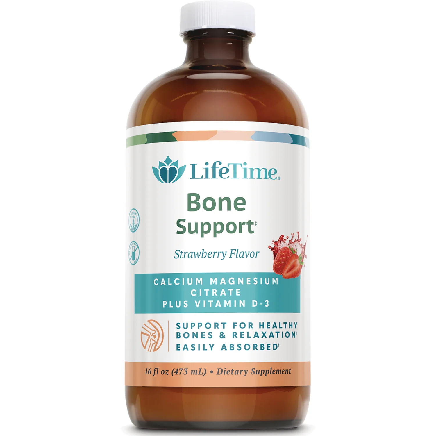 Bone Support - Image 3
