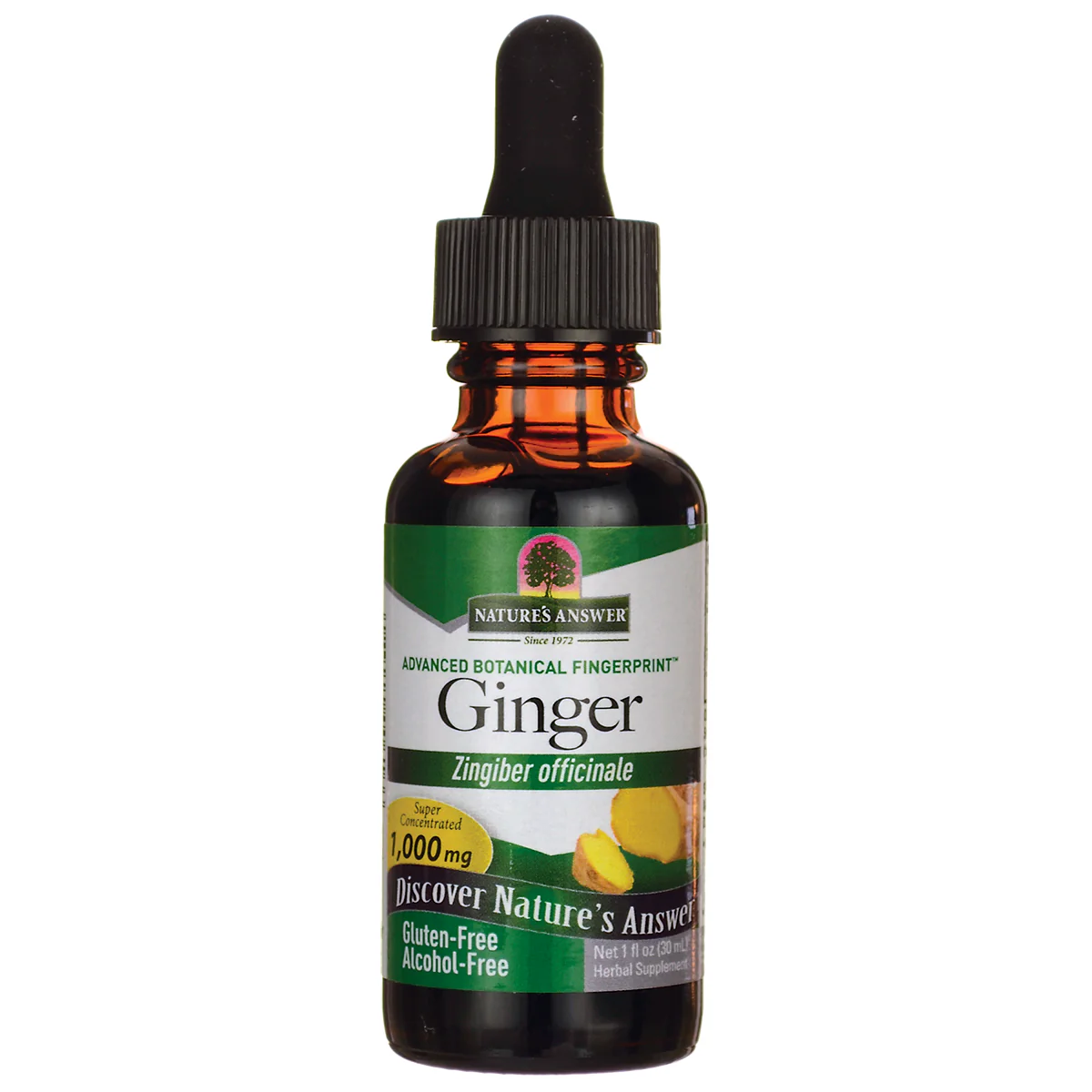 Ginger