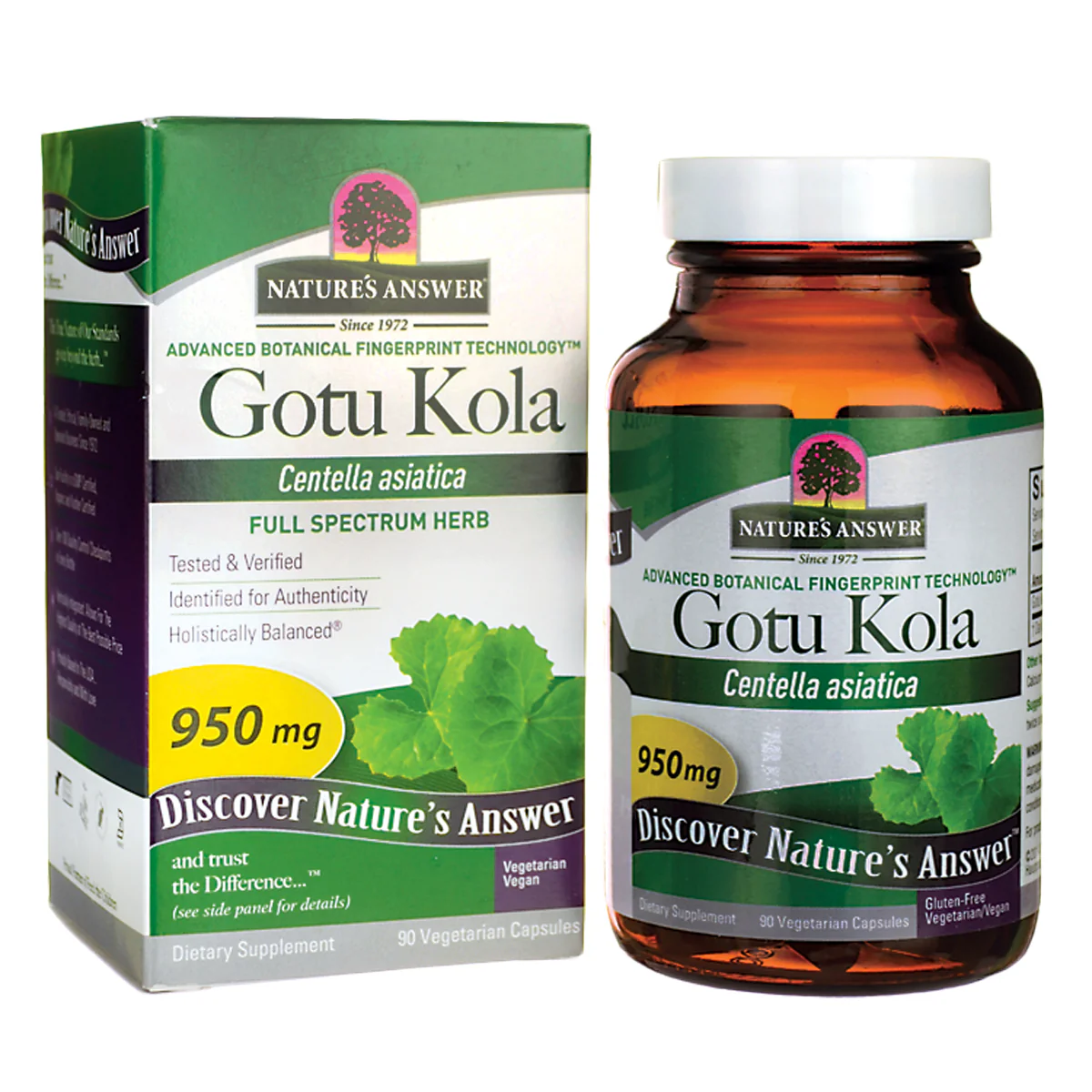 Gotu Kola