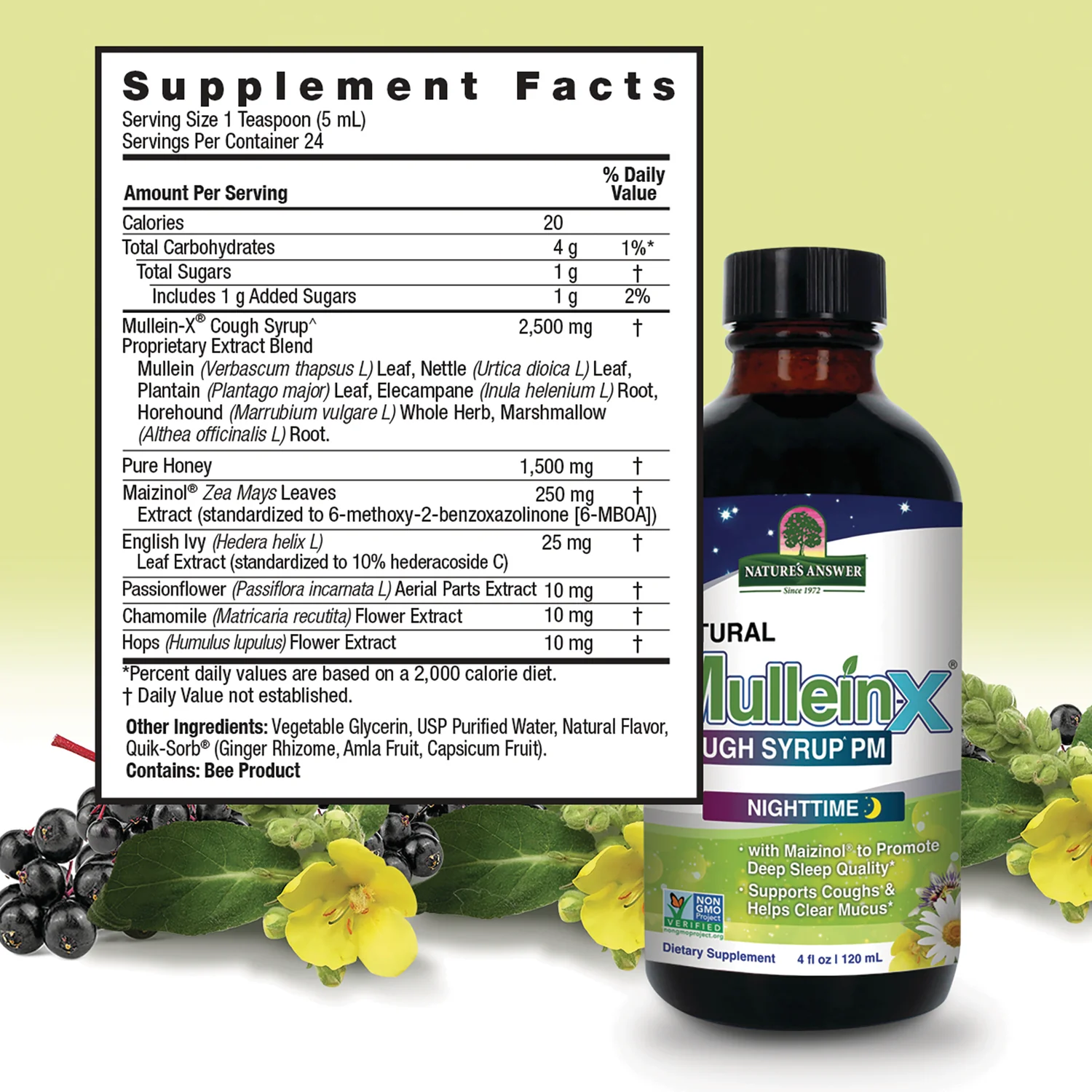 Natural Mullein-X Cough Syrup PM - Image 2