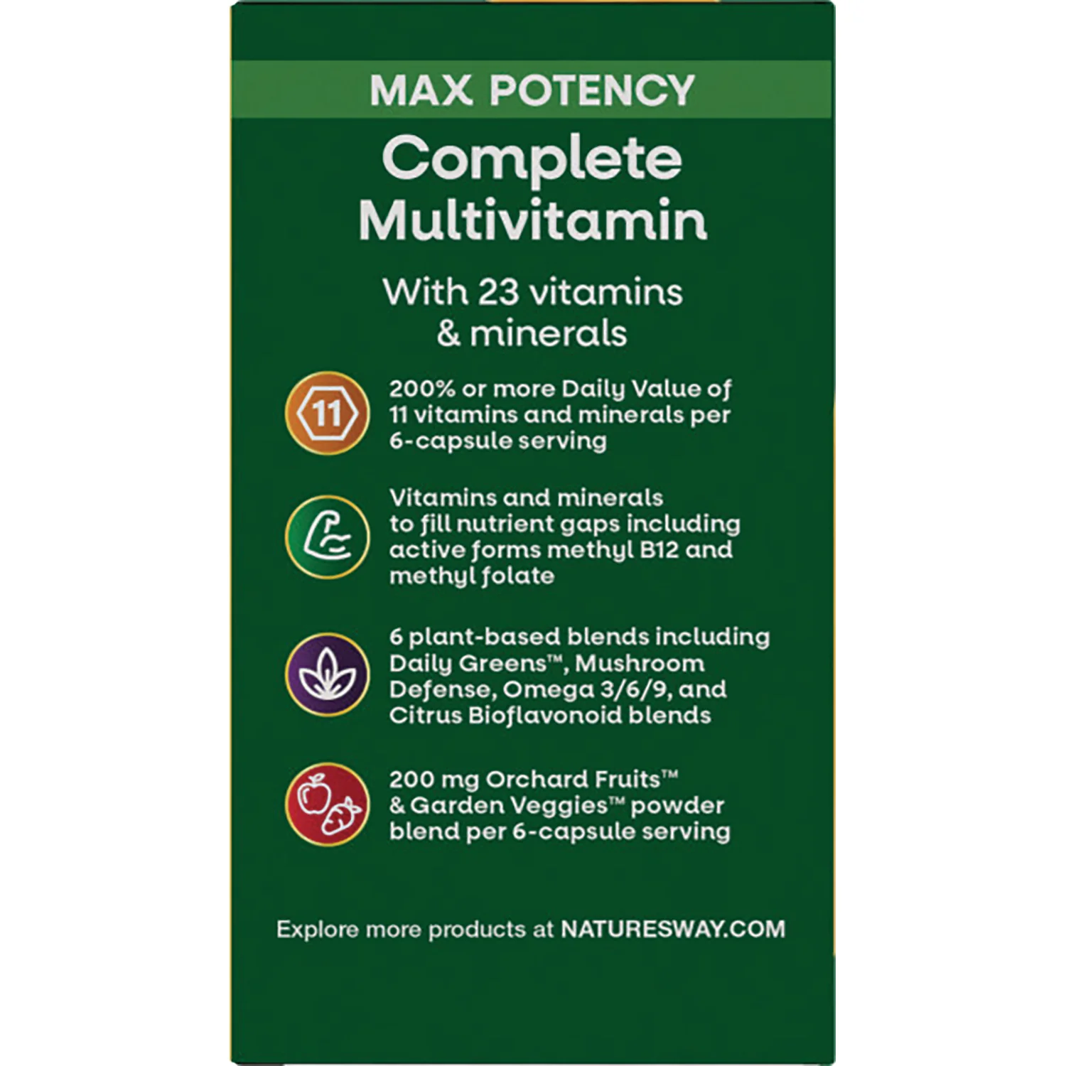 Alive! Max 6 Potency Adult Complete Multivitamin - Image 4