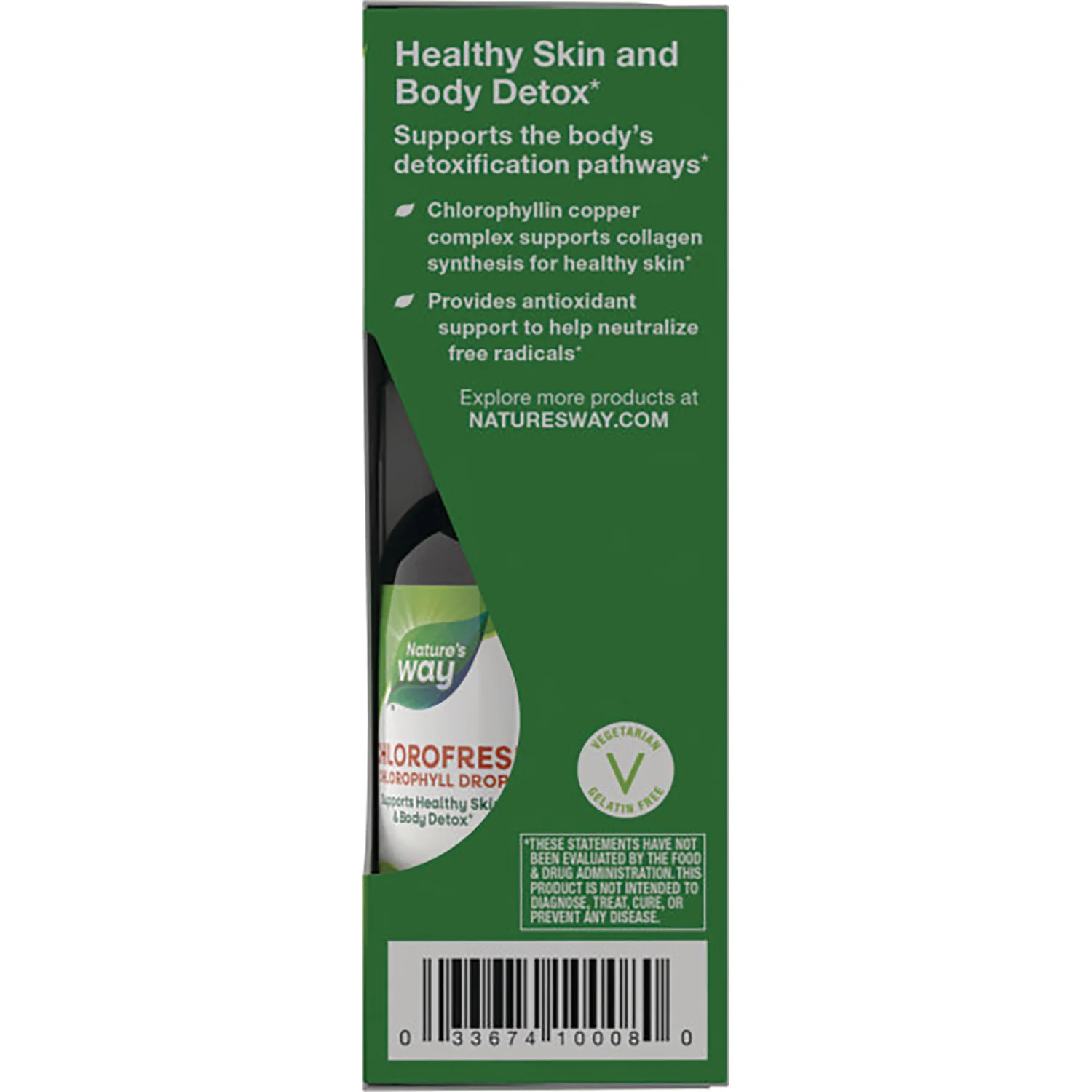 Chlorofresh Chlorophyll Drops - Mint - Image 3
