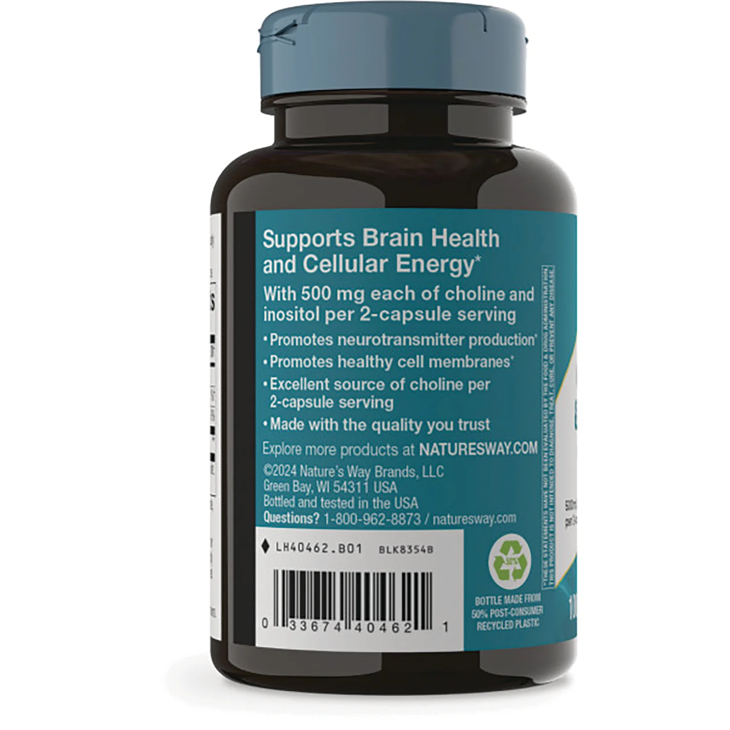 Choline & Inositol - Image 3