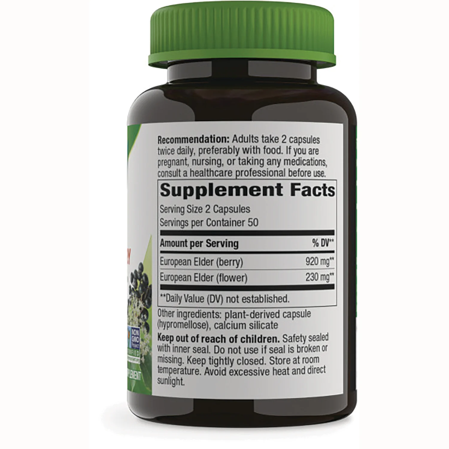 Black Elderberry - Image 2
