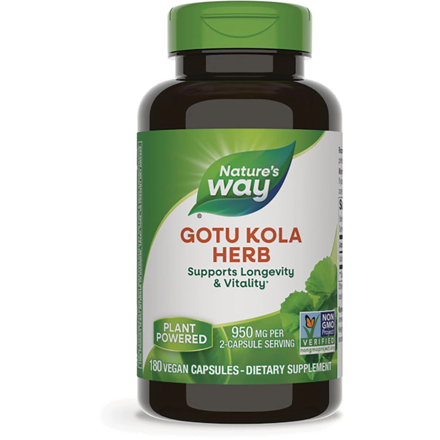 Gotu Kola Herb