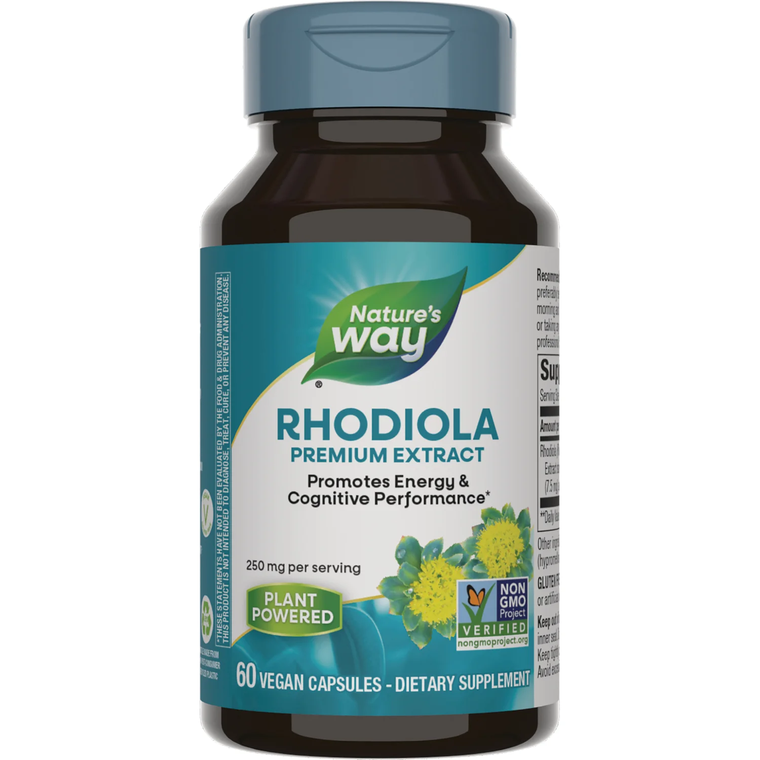 Rhodiola