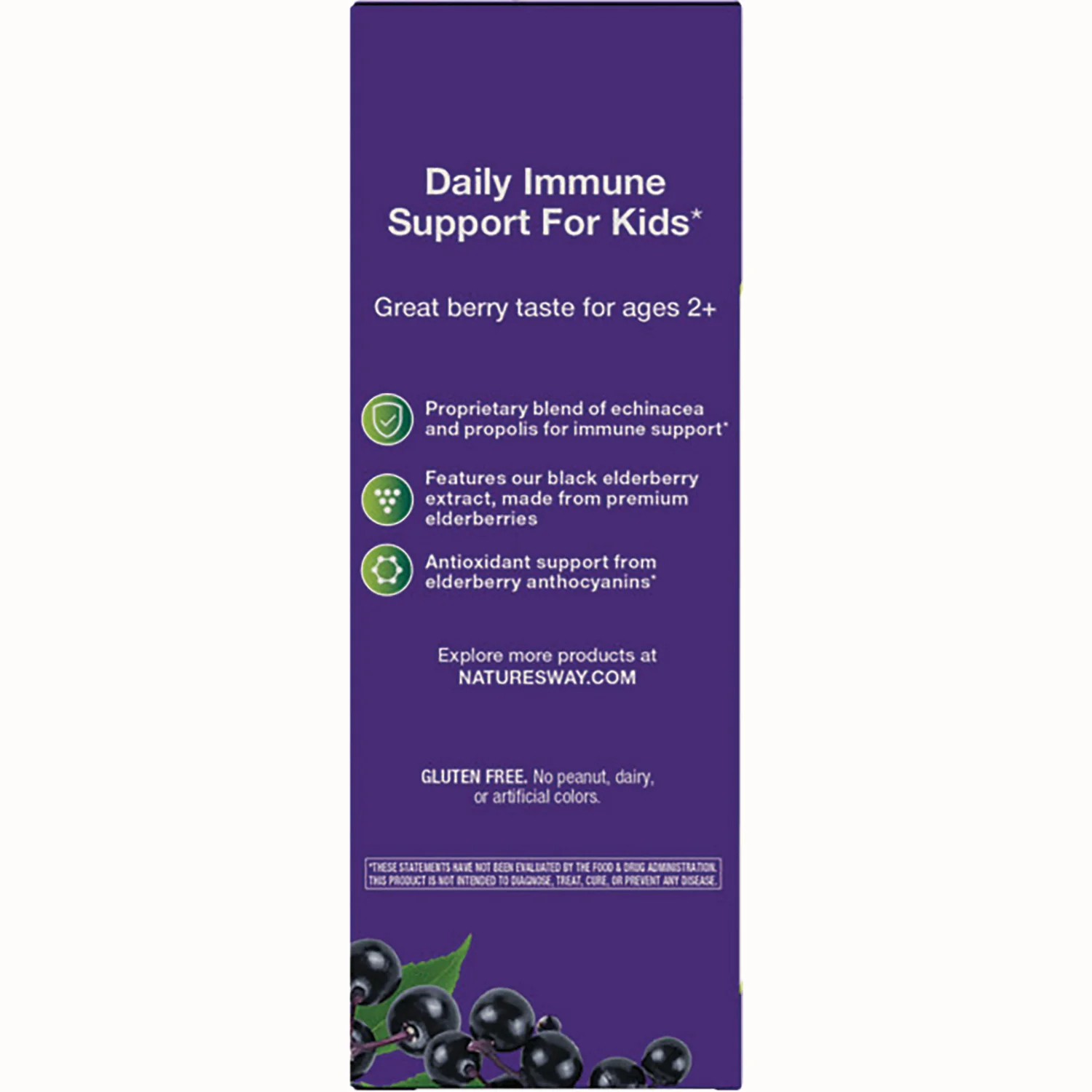 Sambucus Immune Syrup Elderberry Kids - Image 3