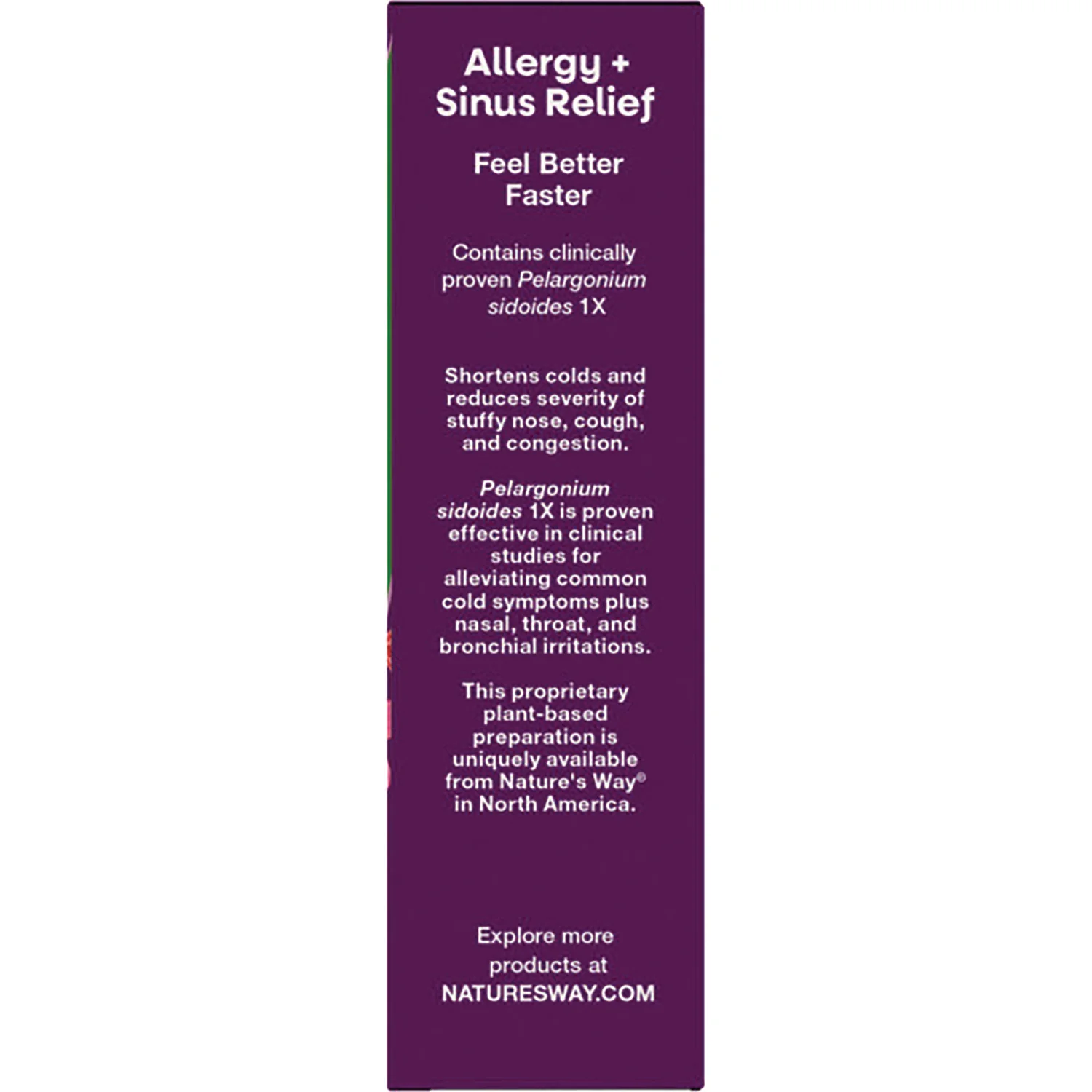 Umcka Allergy + Sinus Relief Chewables - Cherry - Image 3