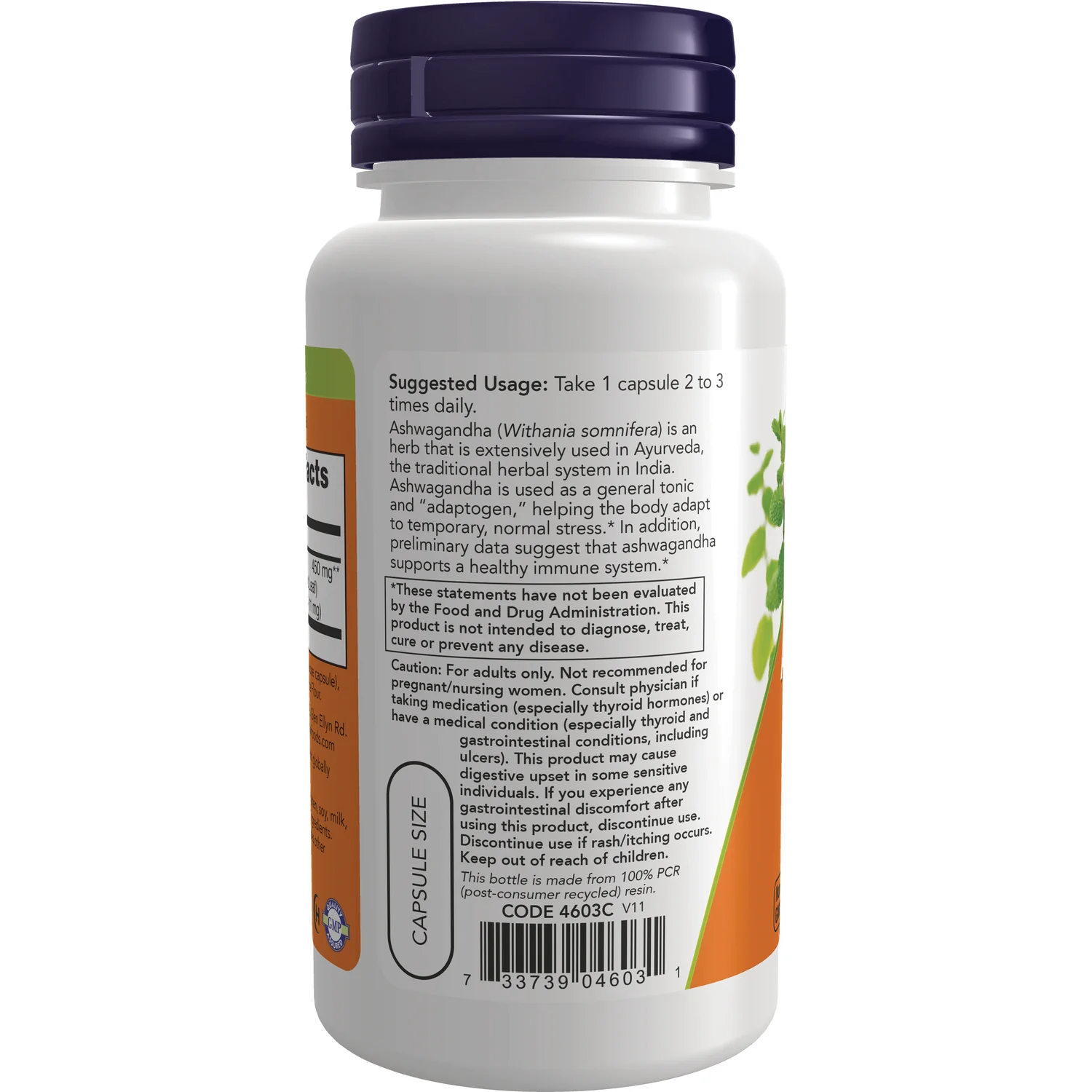Standardized Extract Ashwagandha - Image 3