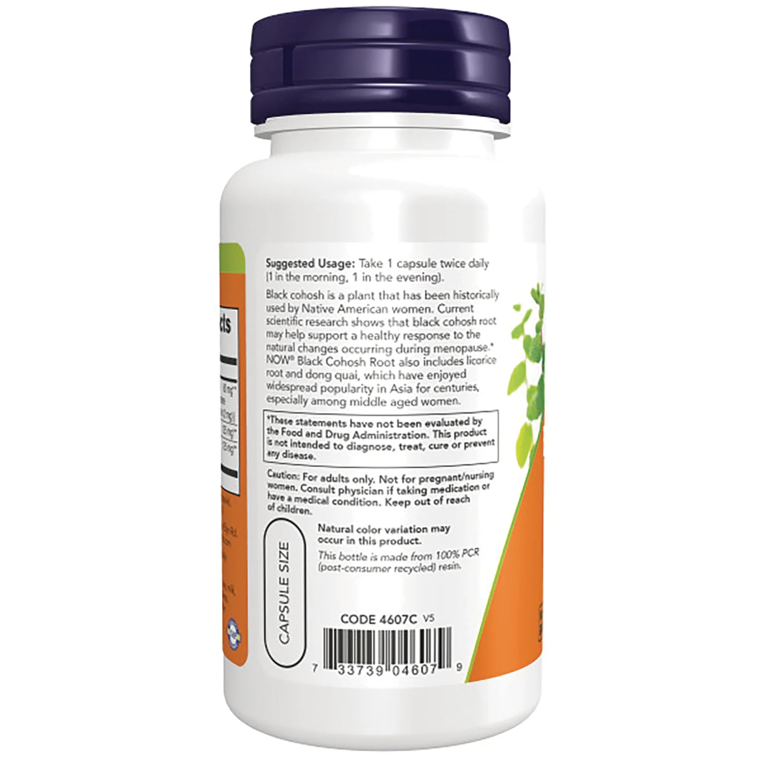 Black Cohosh Root - Image 3