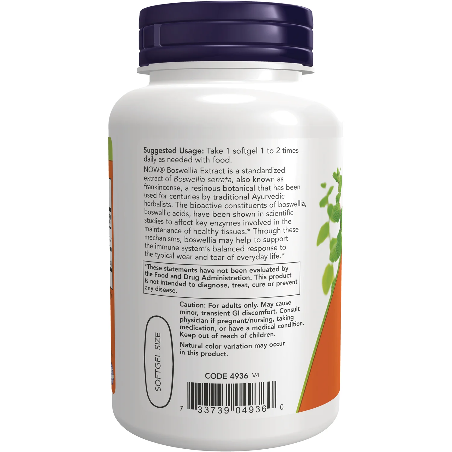 Boswellia Extract - Image 3