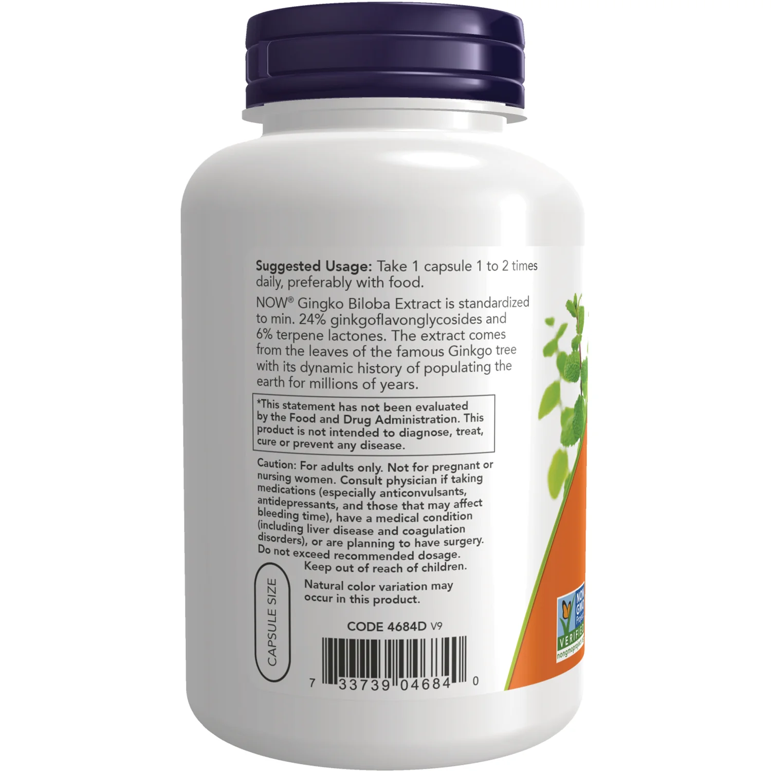 Ginkgo Biloba - Image 3