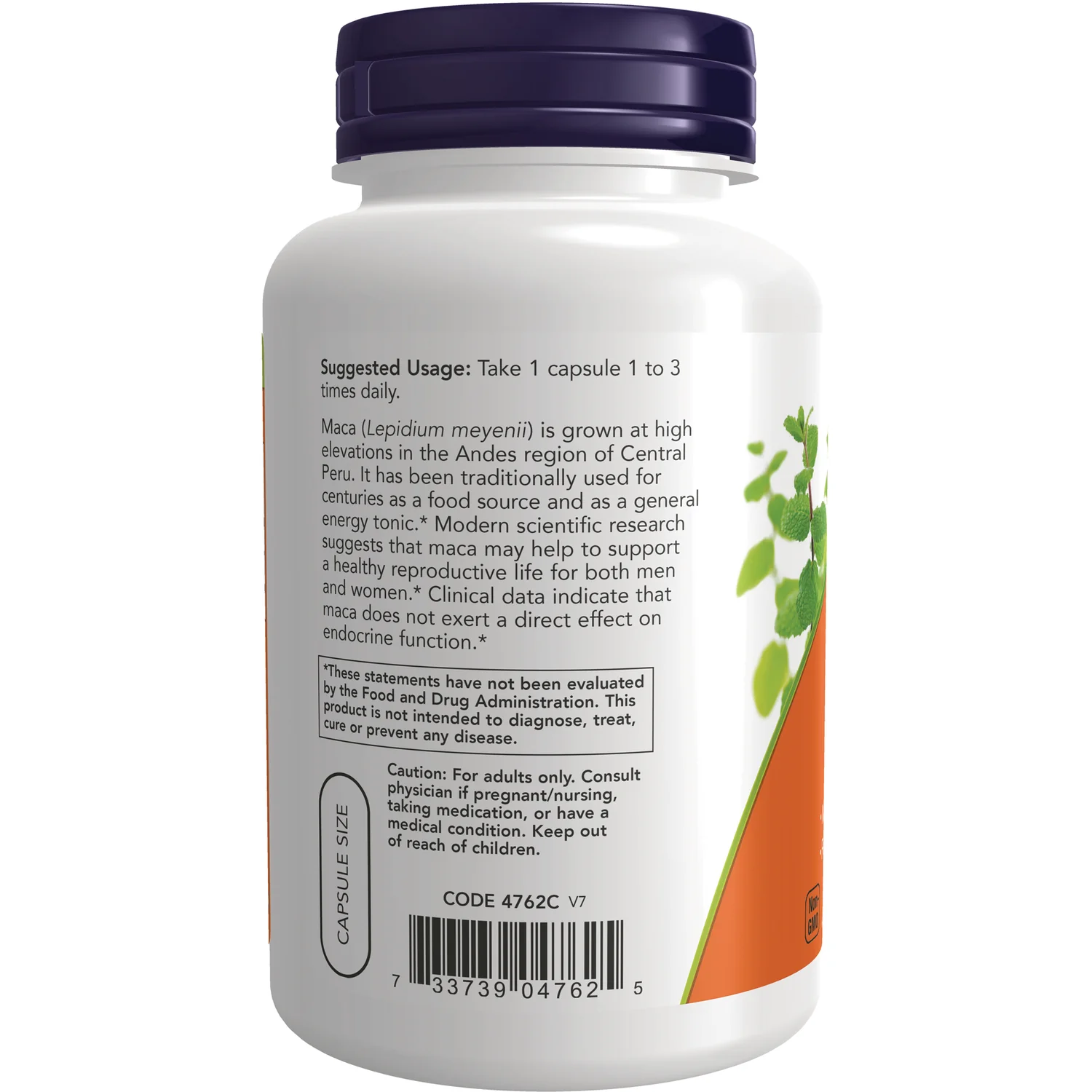 Maca - Image 3