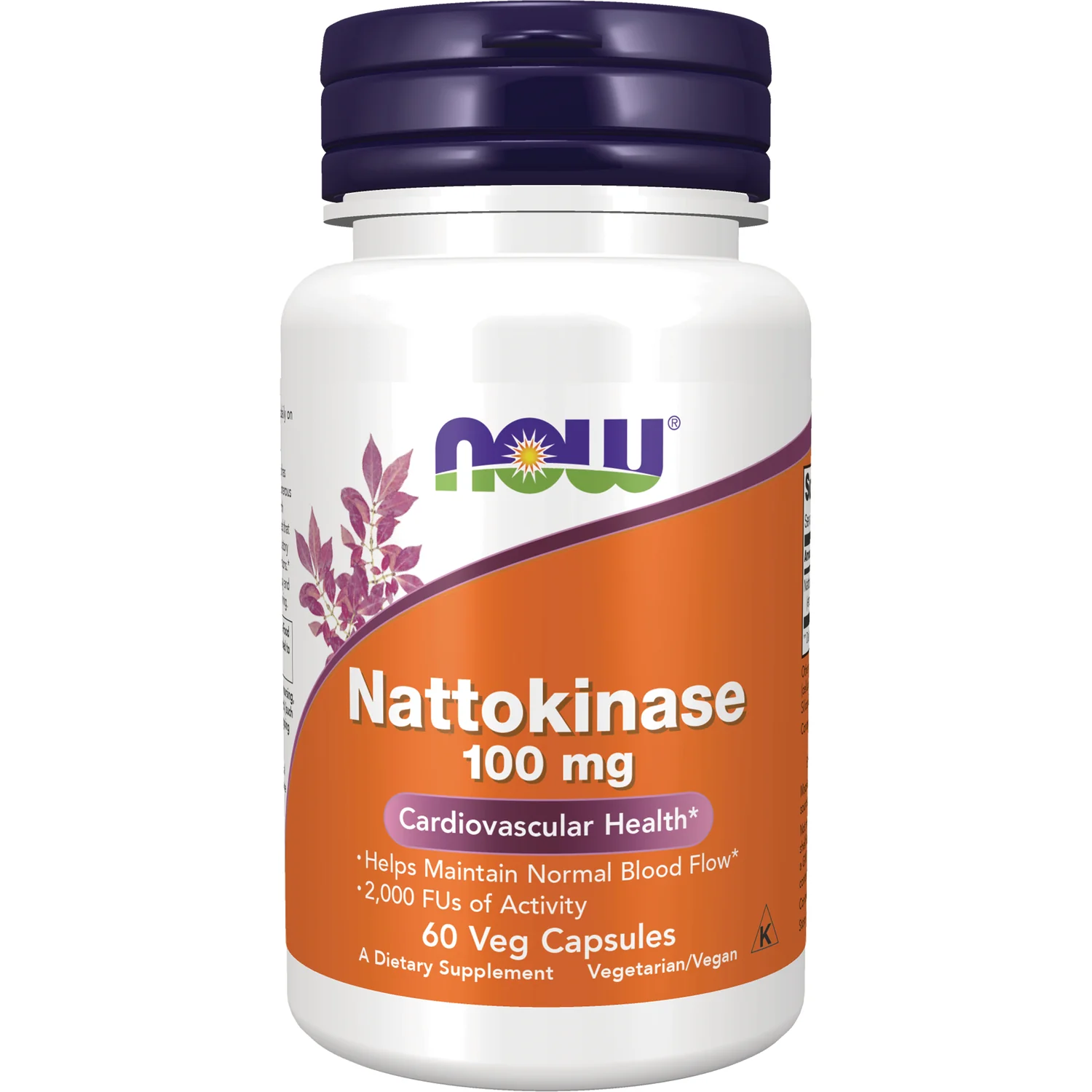 Nattokinase - Image 2