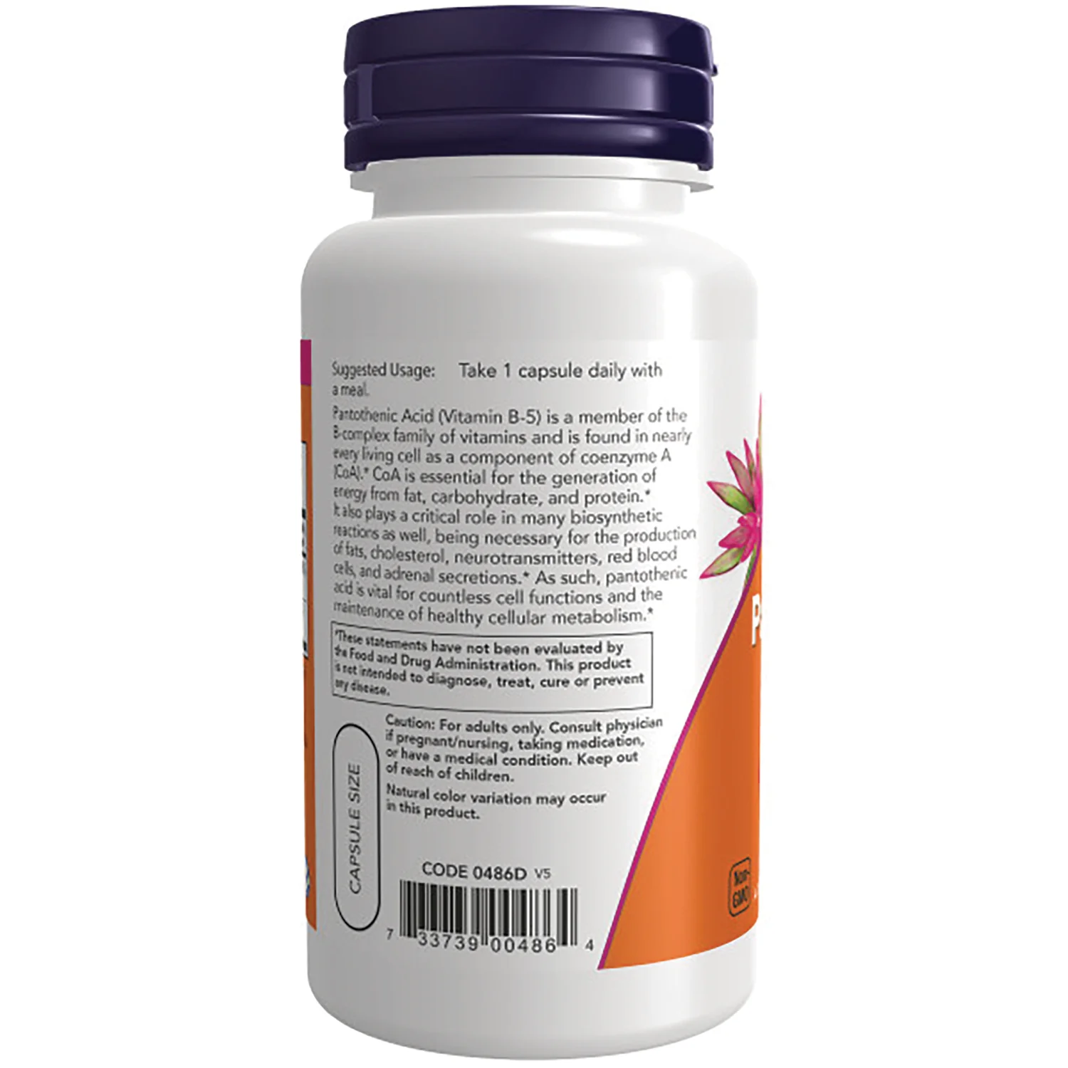 Pantothenic Acid - Image 3