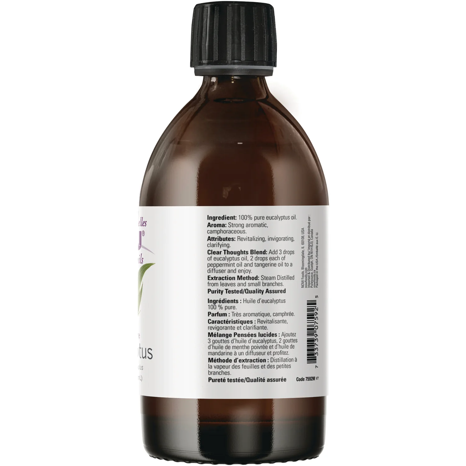 100% Pure Eucalyptus Oil - Image 2
