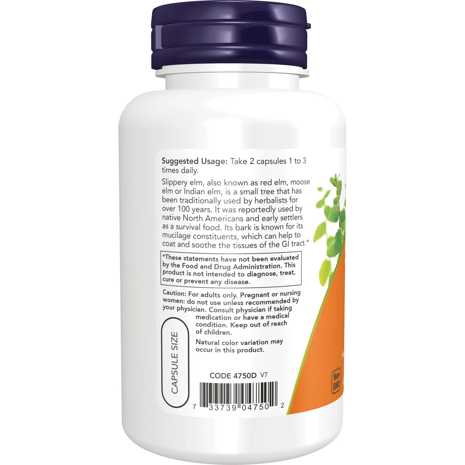 Slippery Elm - Image 3