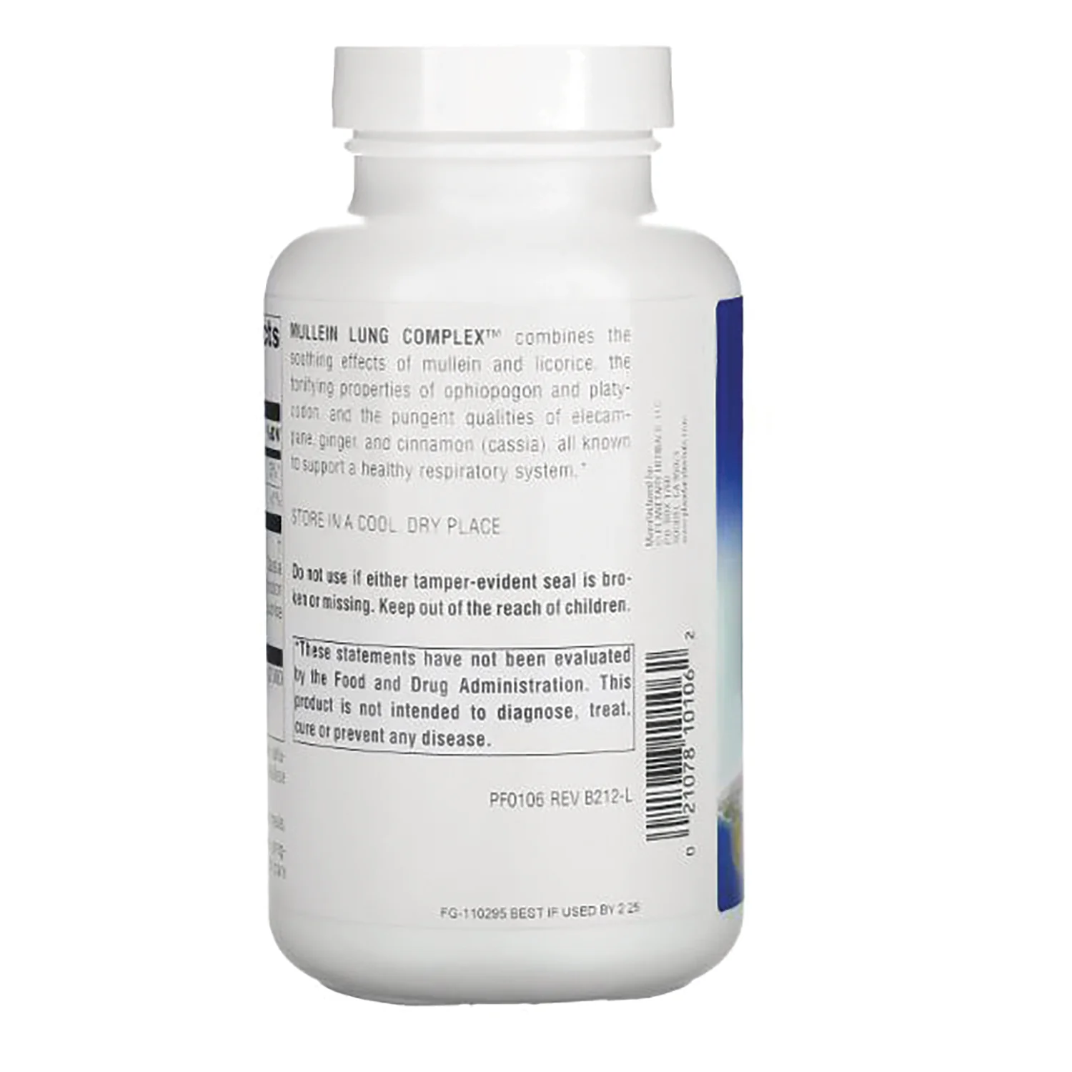 Mullein Lung Complex - Image 3