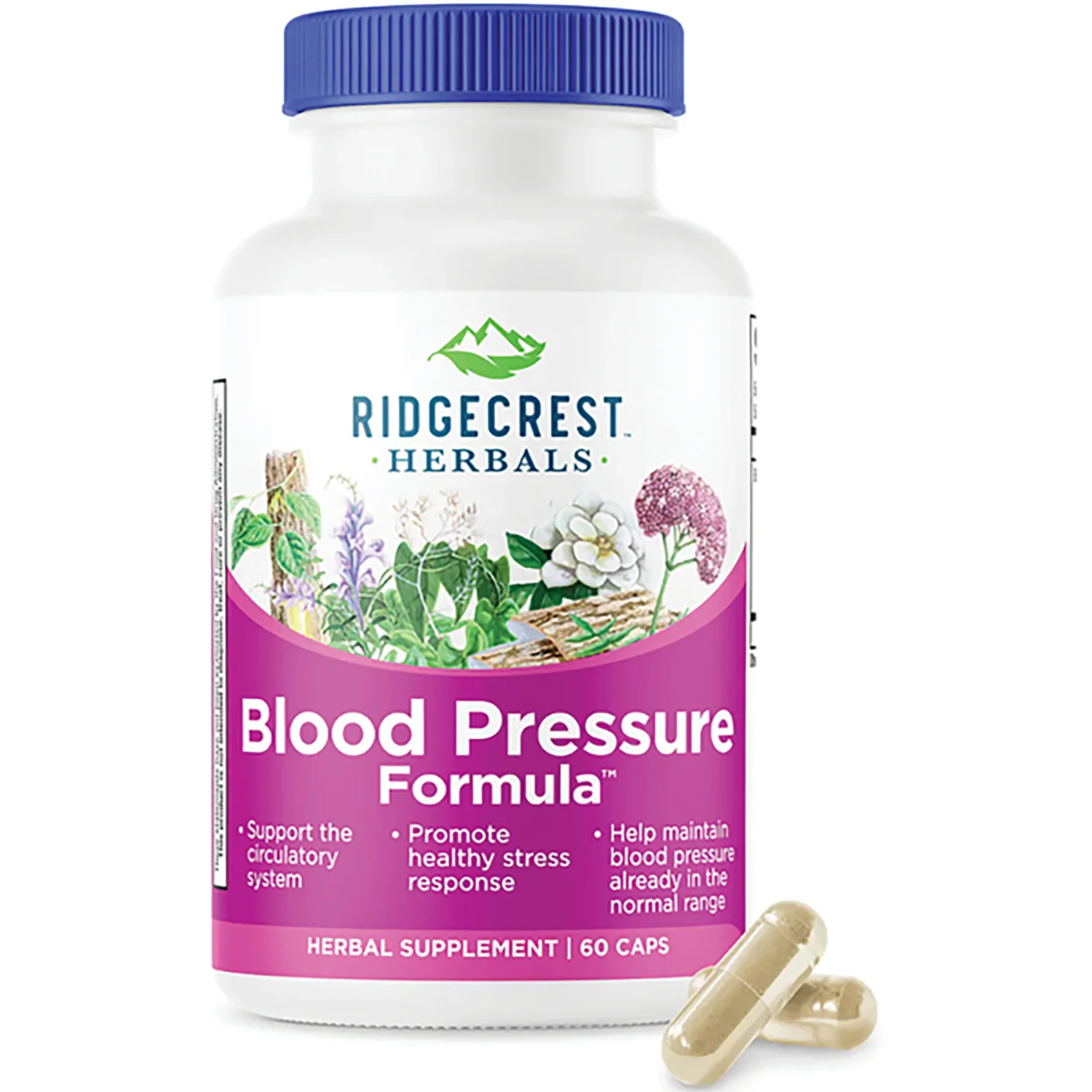 Blood Pressure Formula - Image 2