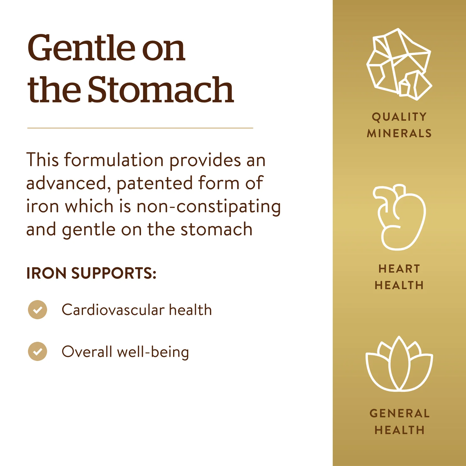 Gentle Iron - Image 2