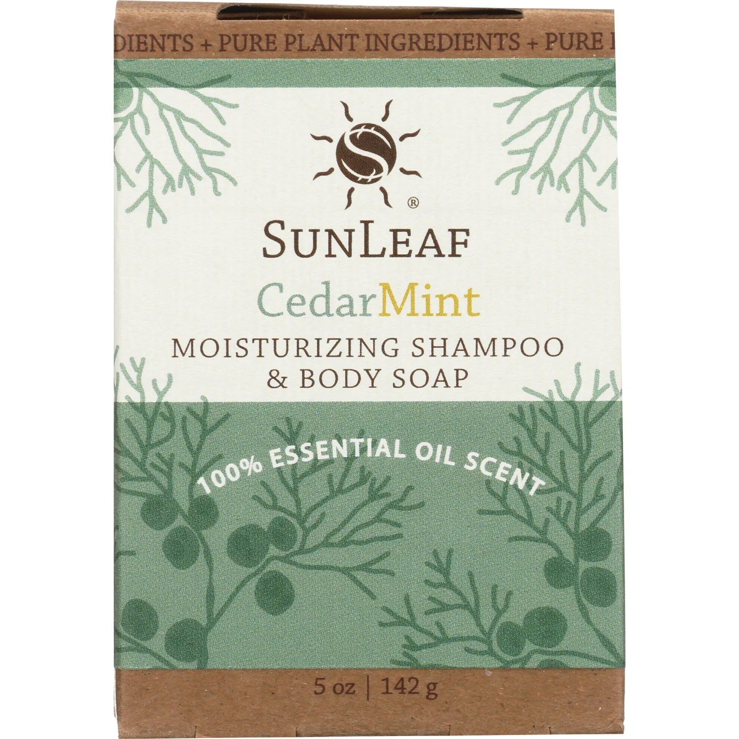 Moisturizing Shampoo and Body Soap - Cedar Mint