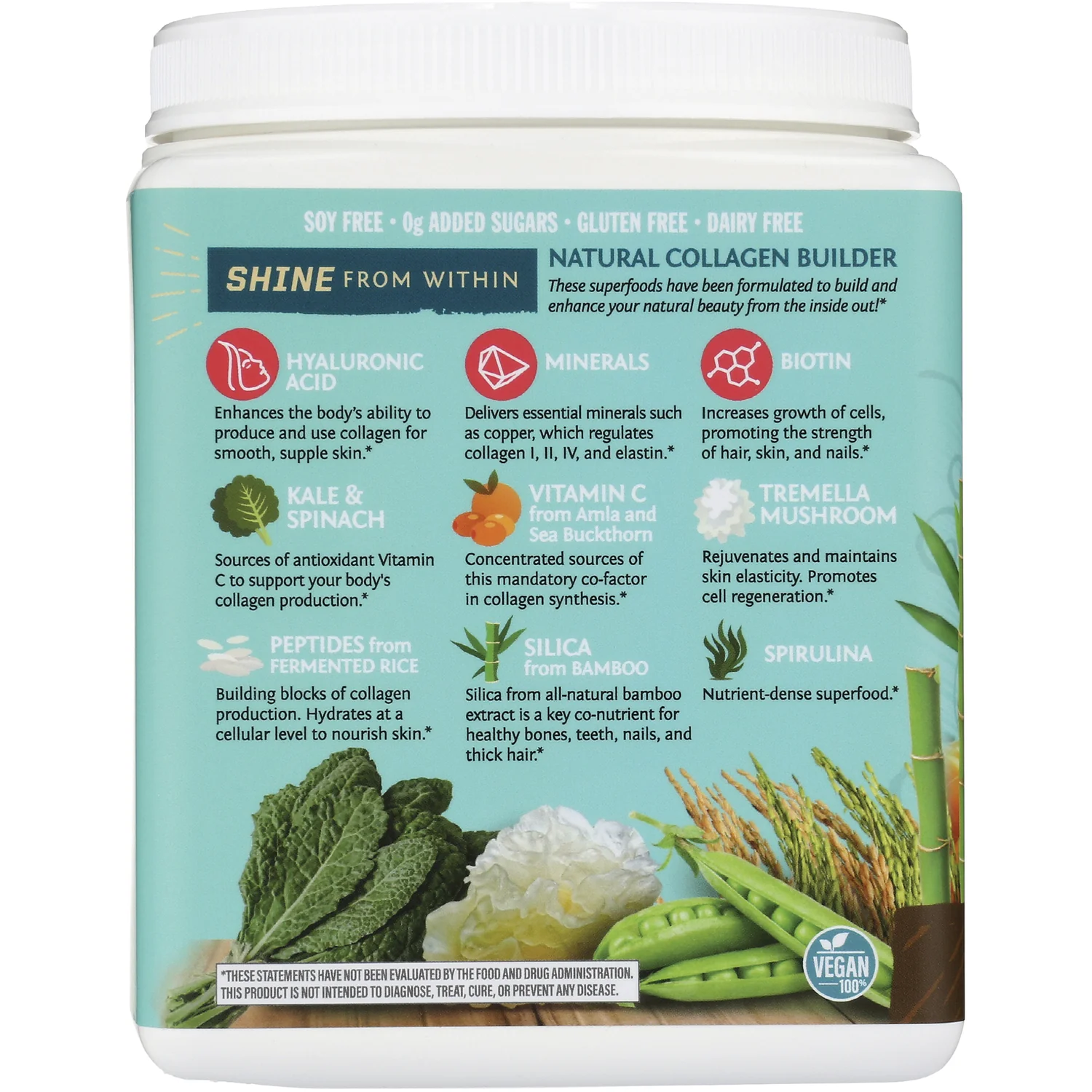 Collagen Building Protein Peptides - Chocolate Fudge - Image 3