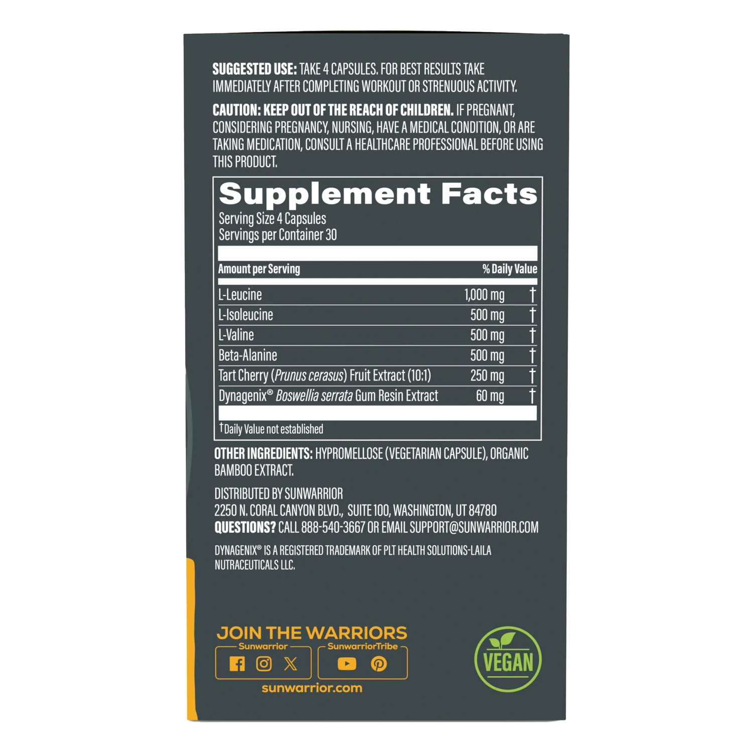 Post-Workout Power & Recovery - Image 2