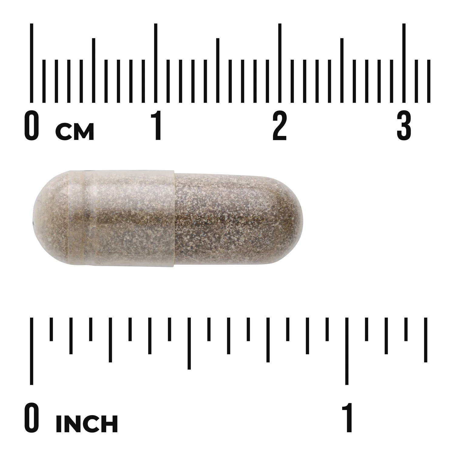 Gymnema Sylvestre Extract - Standardized - Image 3
