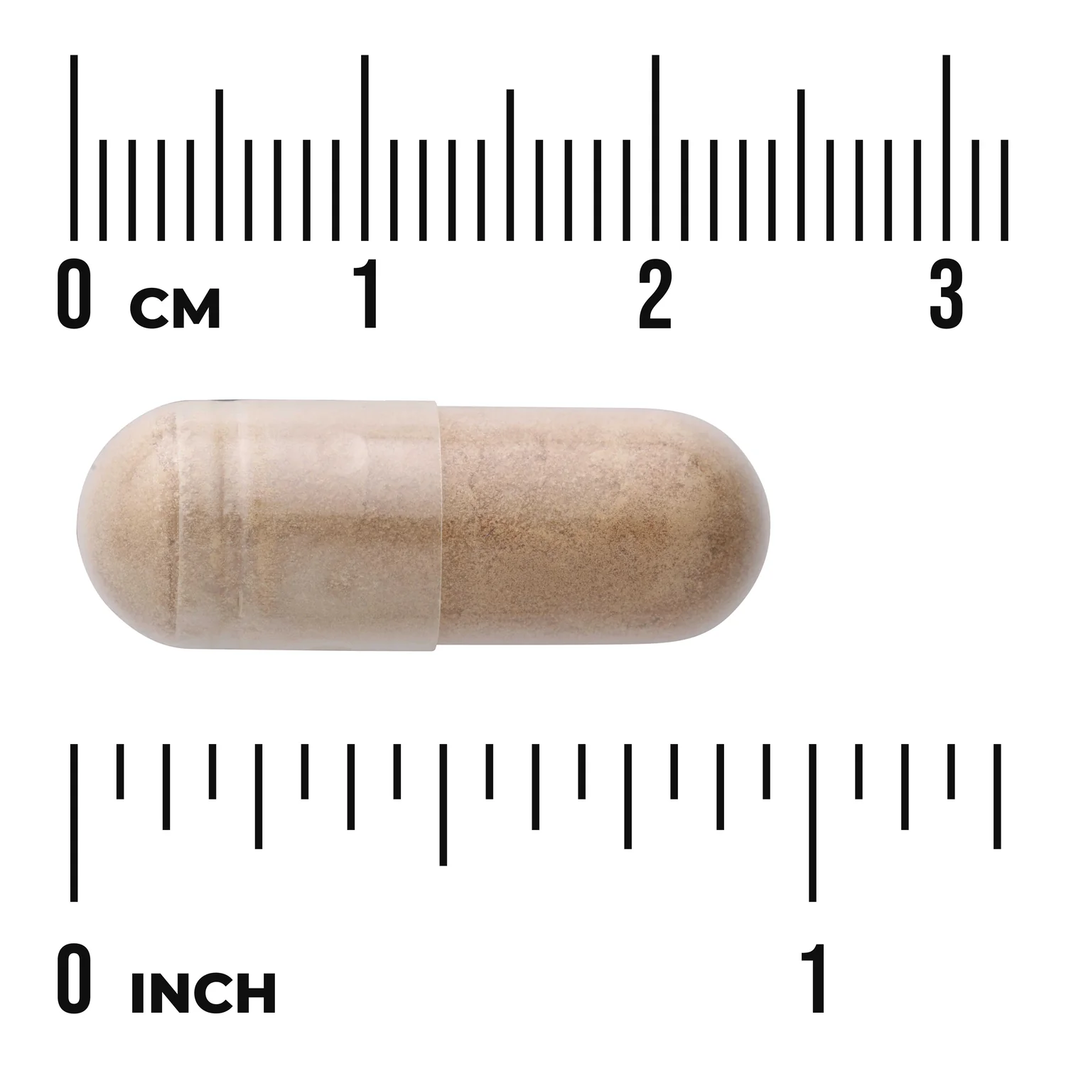 Avena Sativa - Image 3