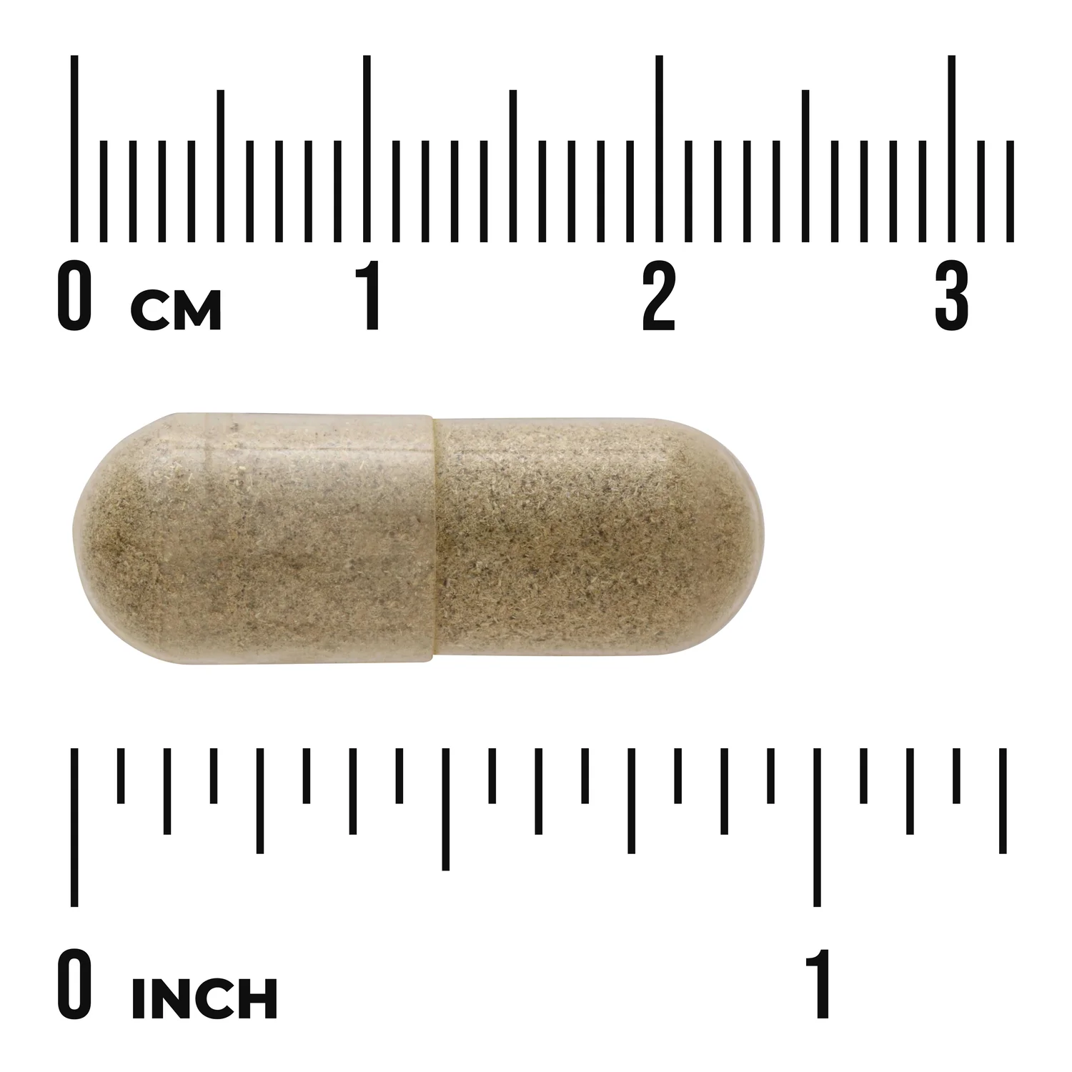 Echinacea - Image 3
