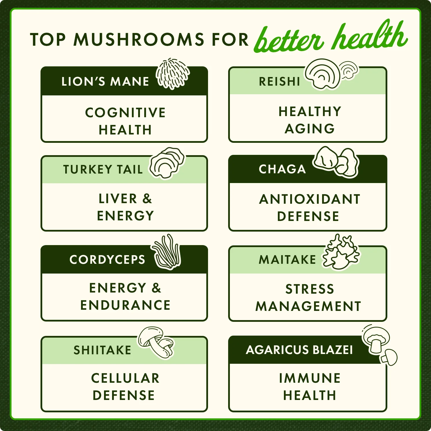 Full Spectrum 7 Mushroom Complex - Image 4