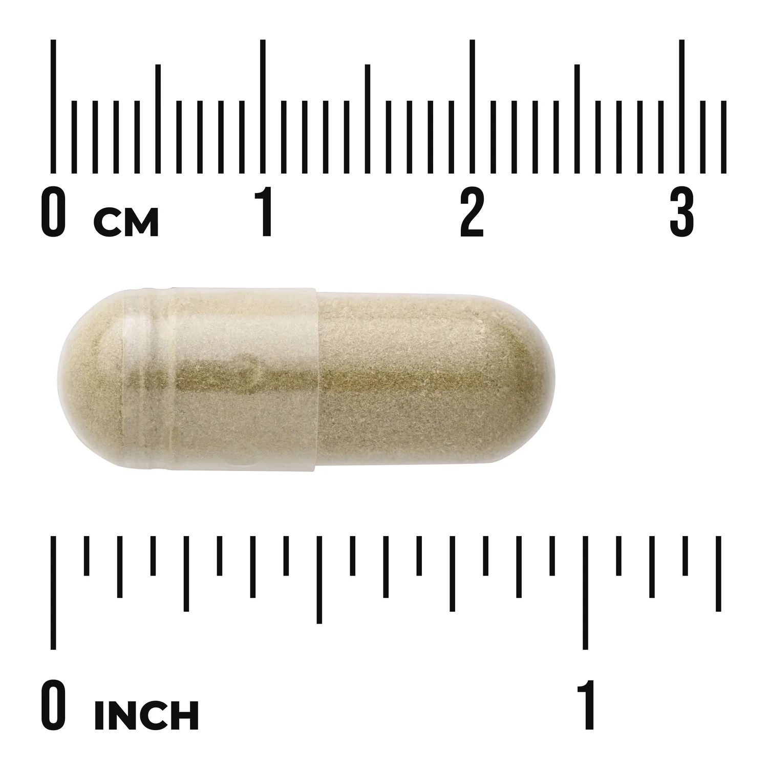 Full Spectrum Andrographis Paniculata - Image 3
