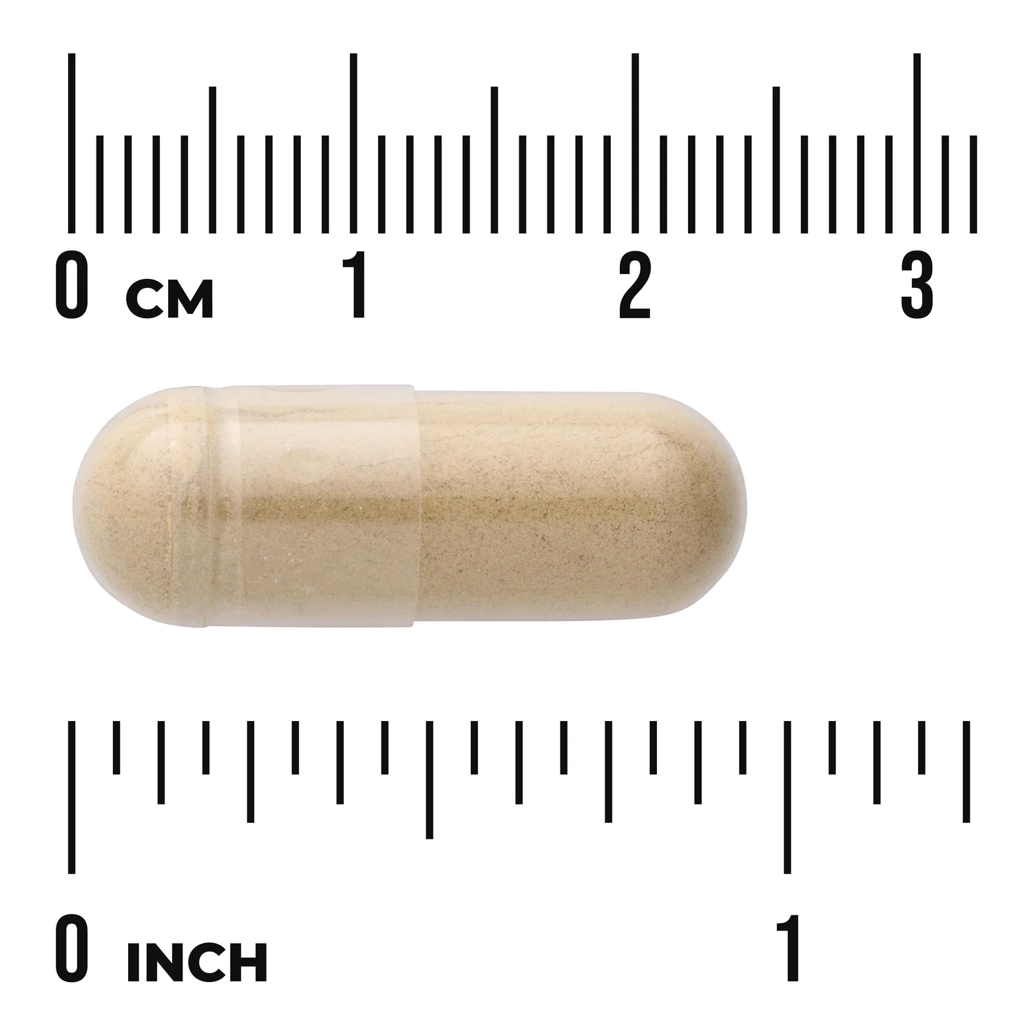 Horsetail - Image 3