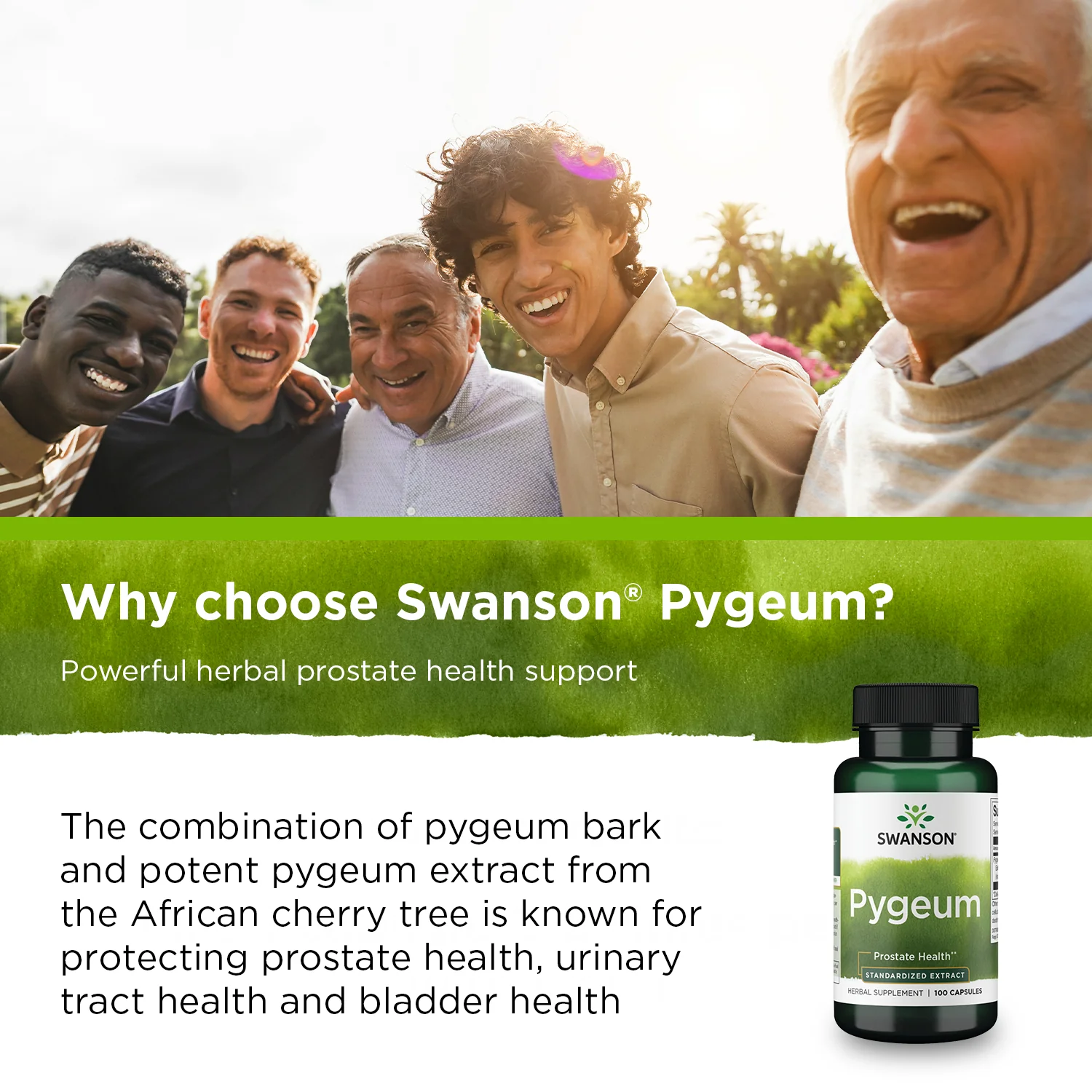 Pygeum - Standardized Extract - Image 5