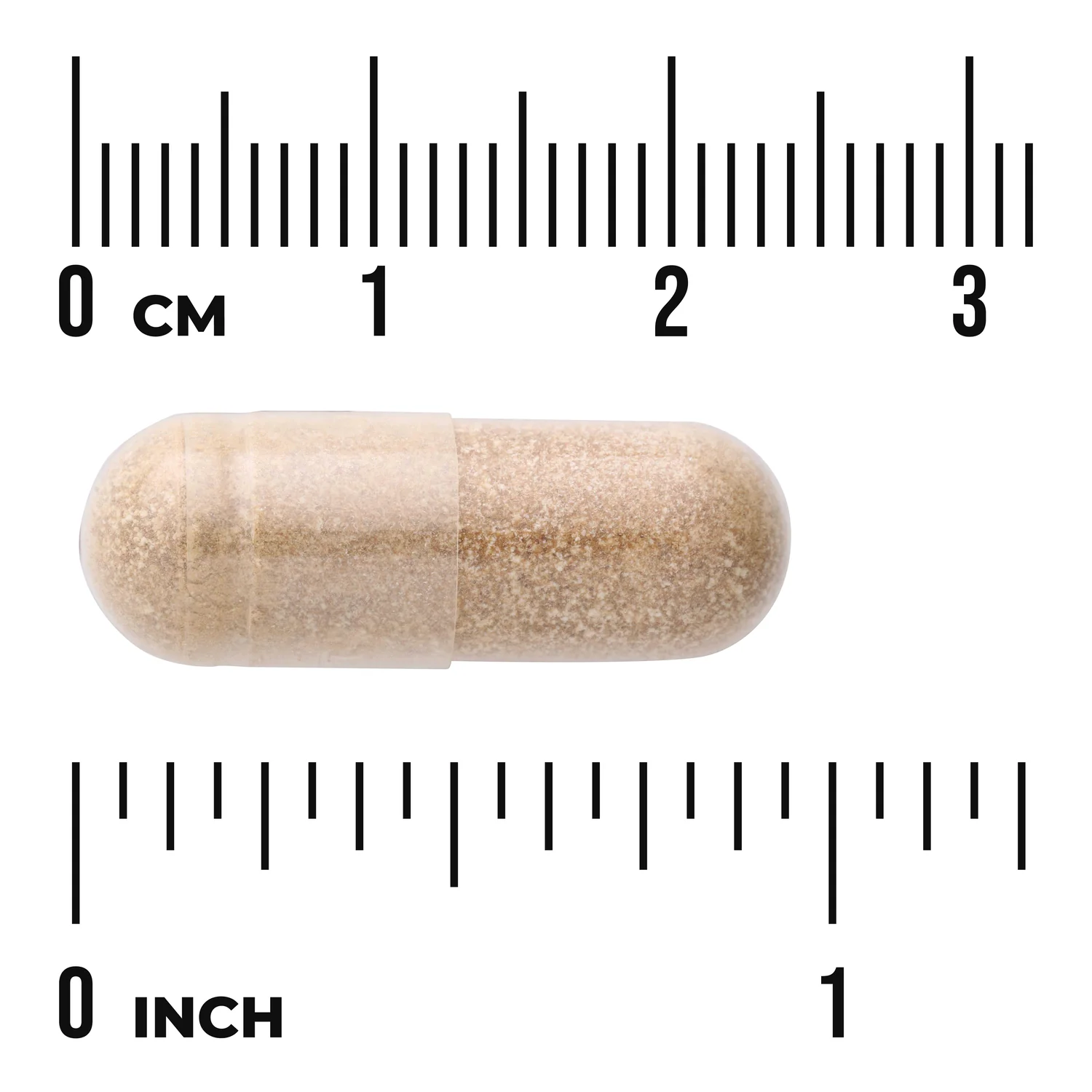 Pancreas Glandular - Image 3