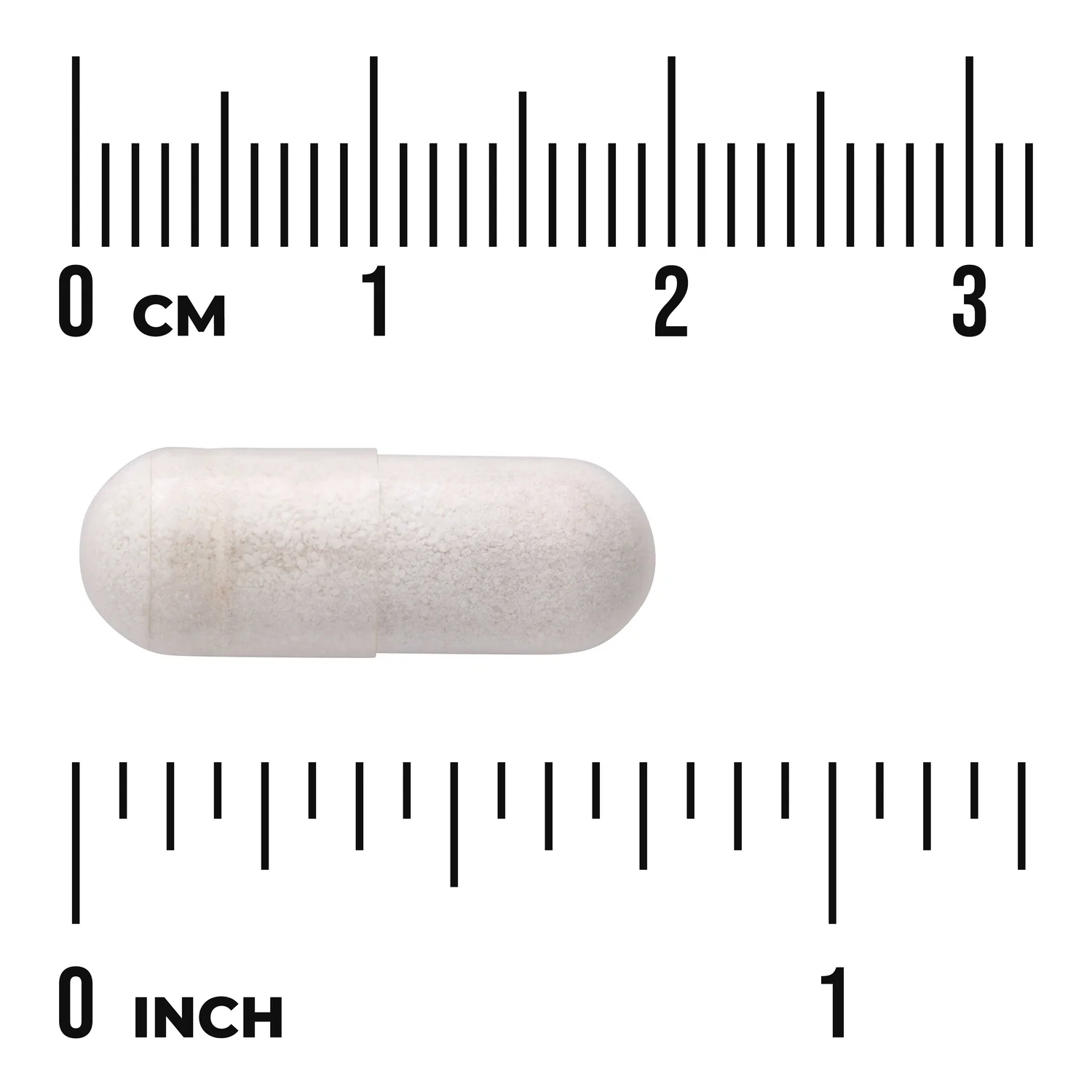 Bacillus Coagulans - Spore Form - Image 3