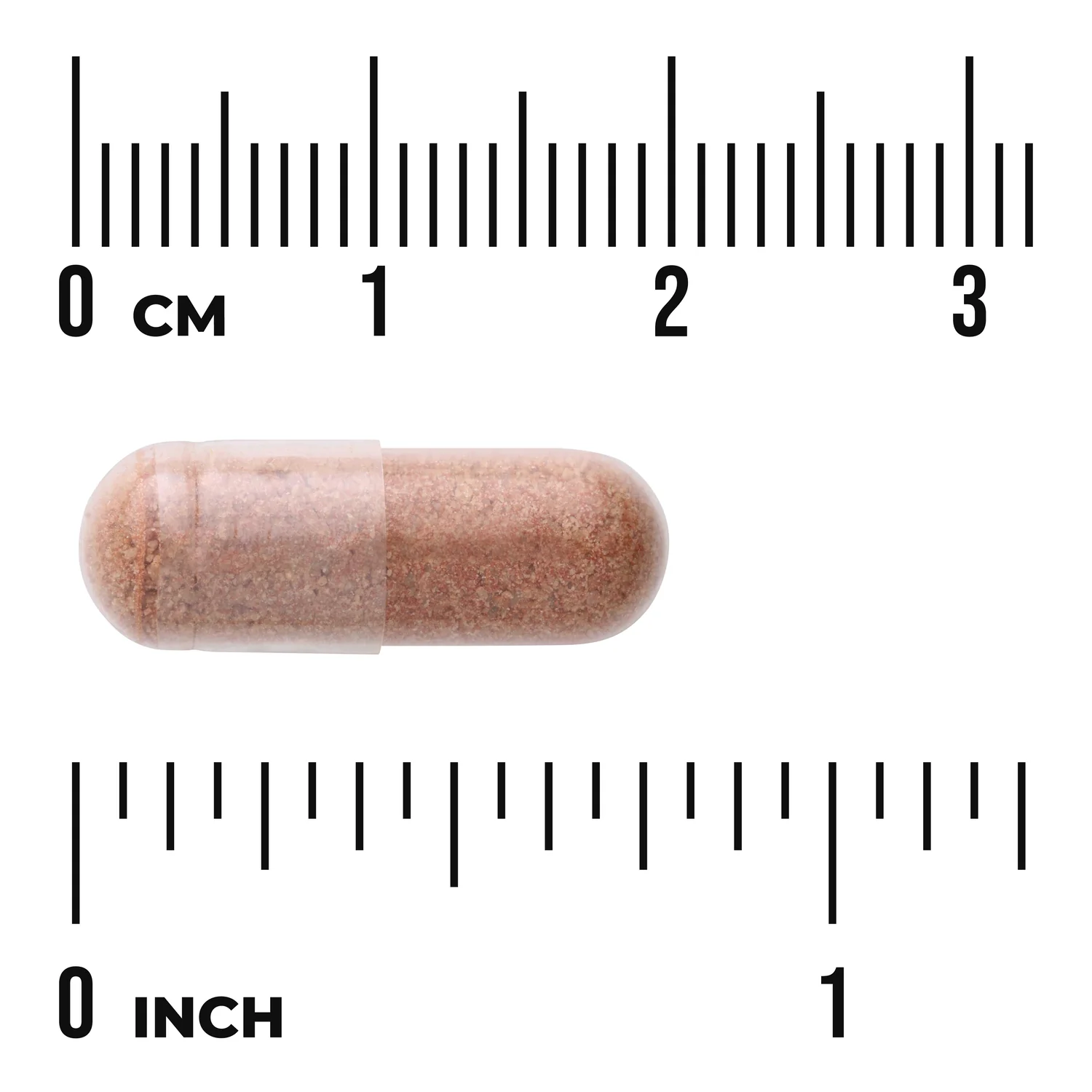 Pine Bark Extract - Standardized - Image 3