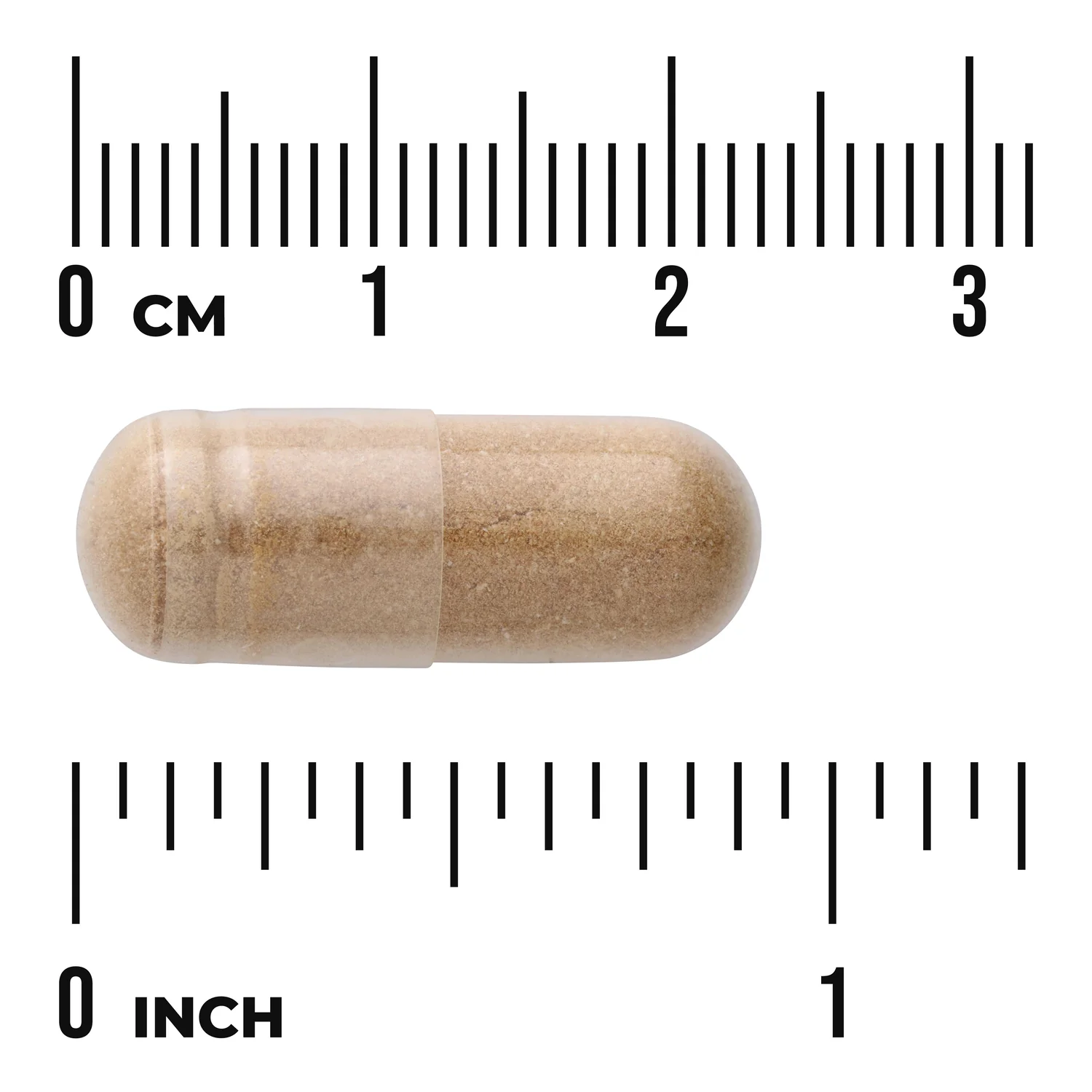 Reishi Mushroom Extract - Standardized - Image 2