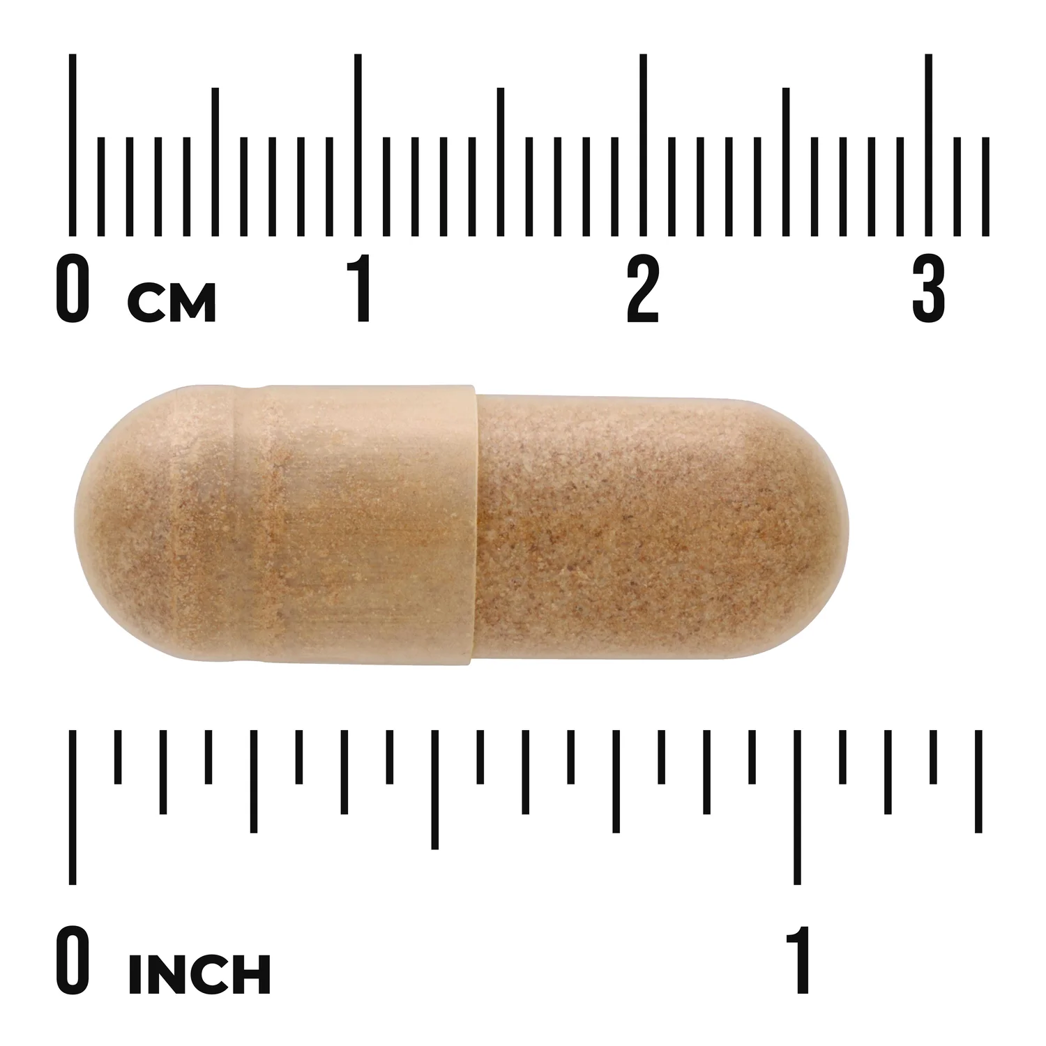 Ginkgo Biloba Extract - Standardized - Image 3
