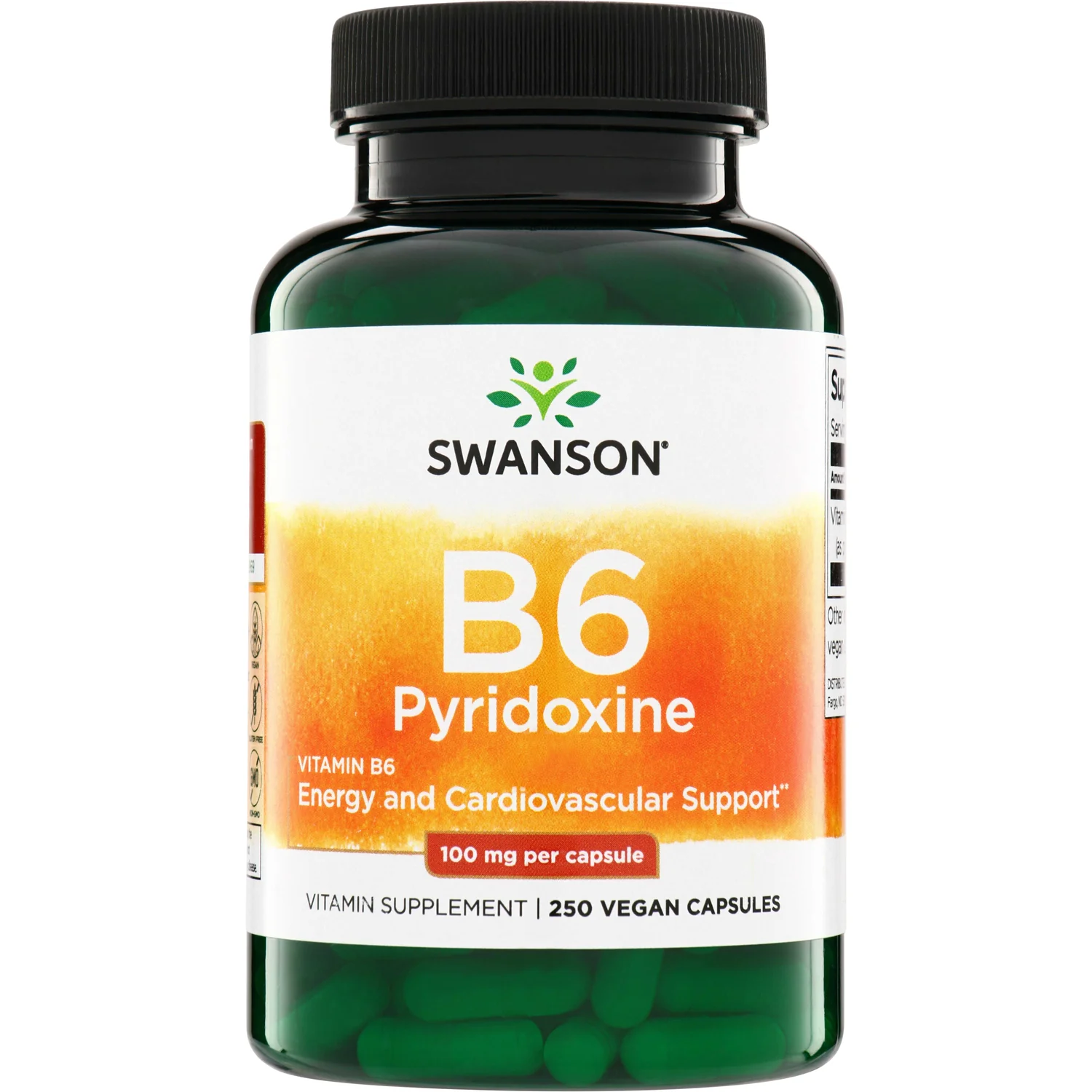 Vitamin B6 Pyridoxine - Image 2